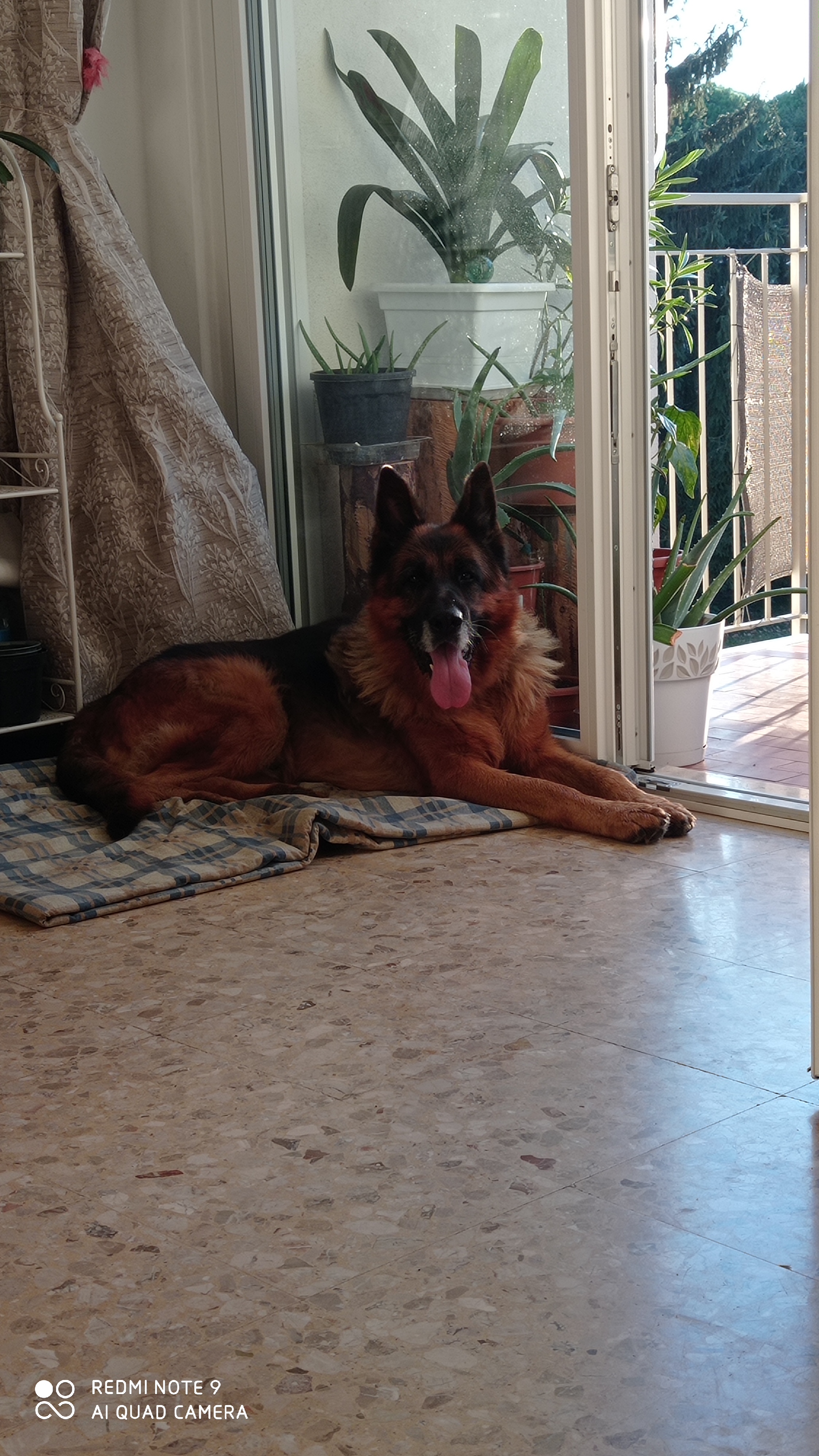 image-8
