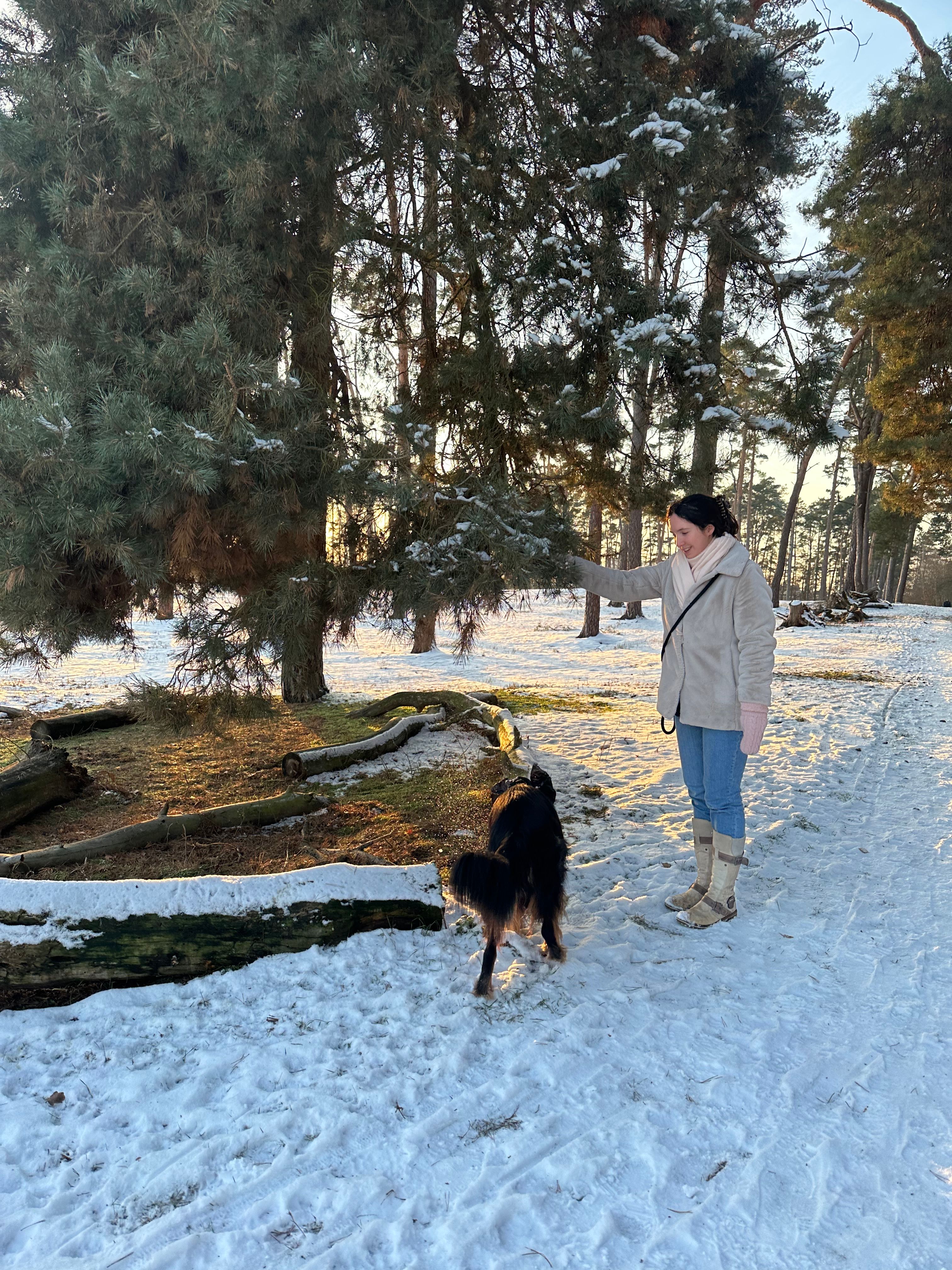 image-10