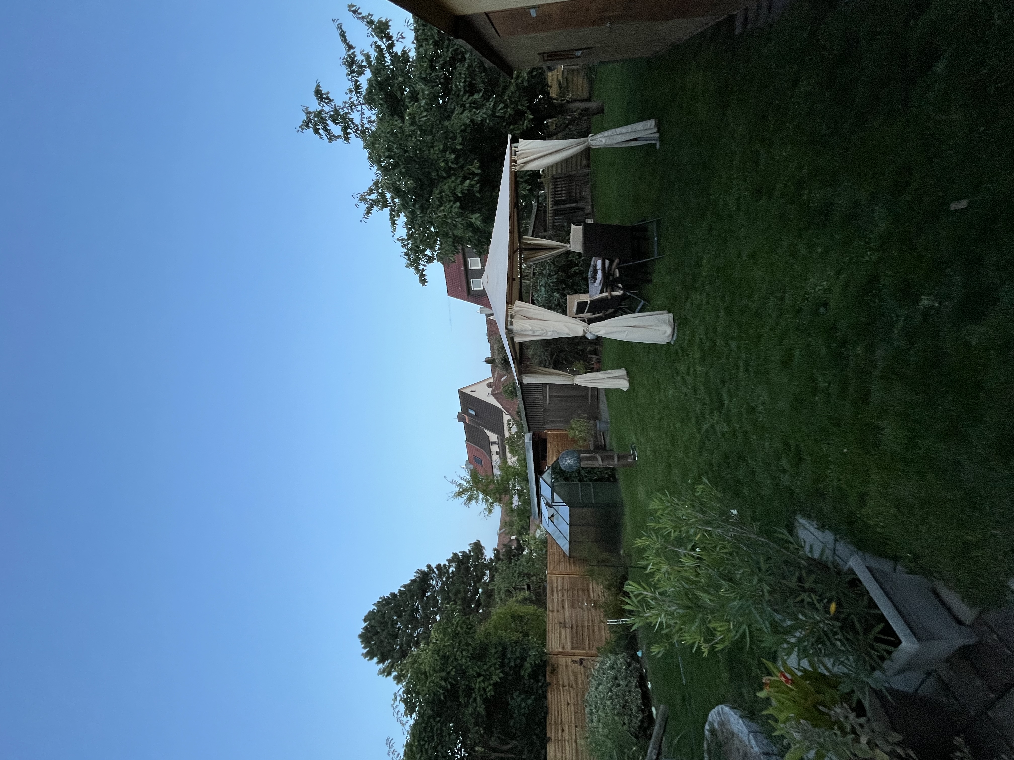 image-17