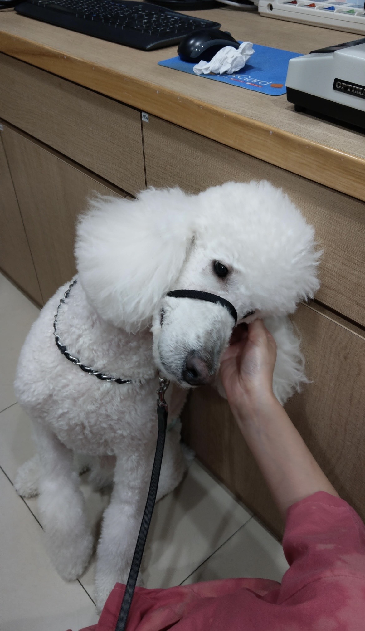 image-9