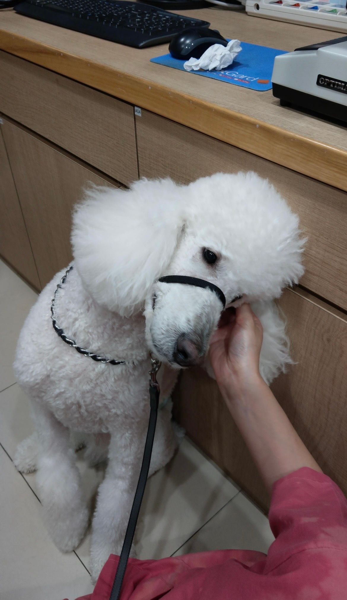 image-9