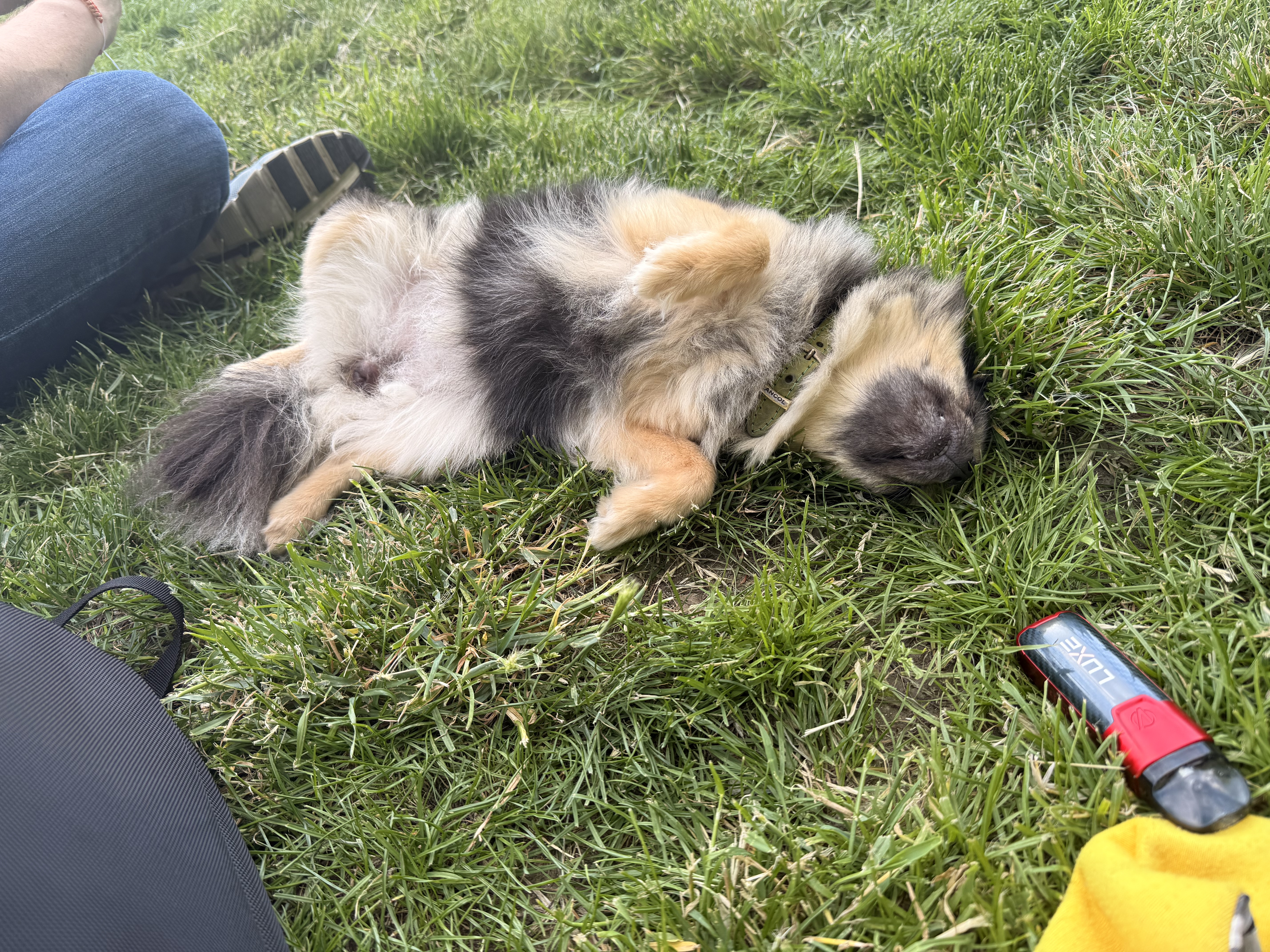 image-8