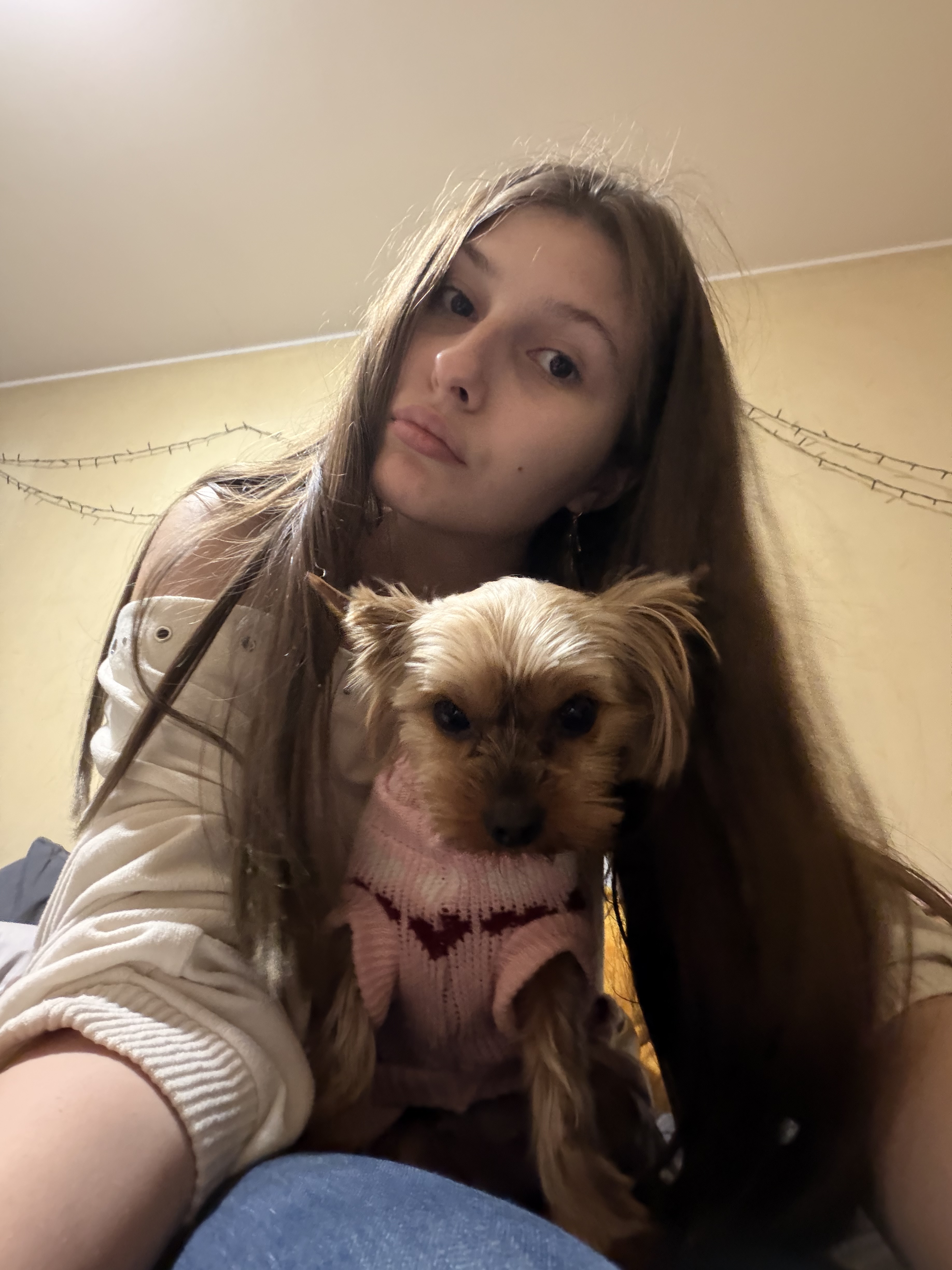 image-2
