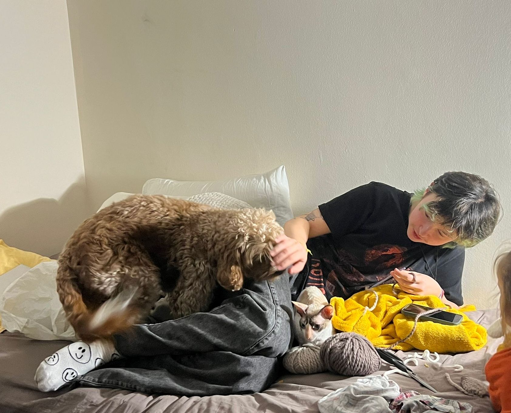 image-4