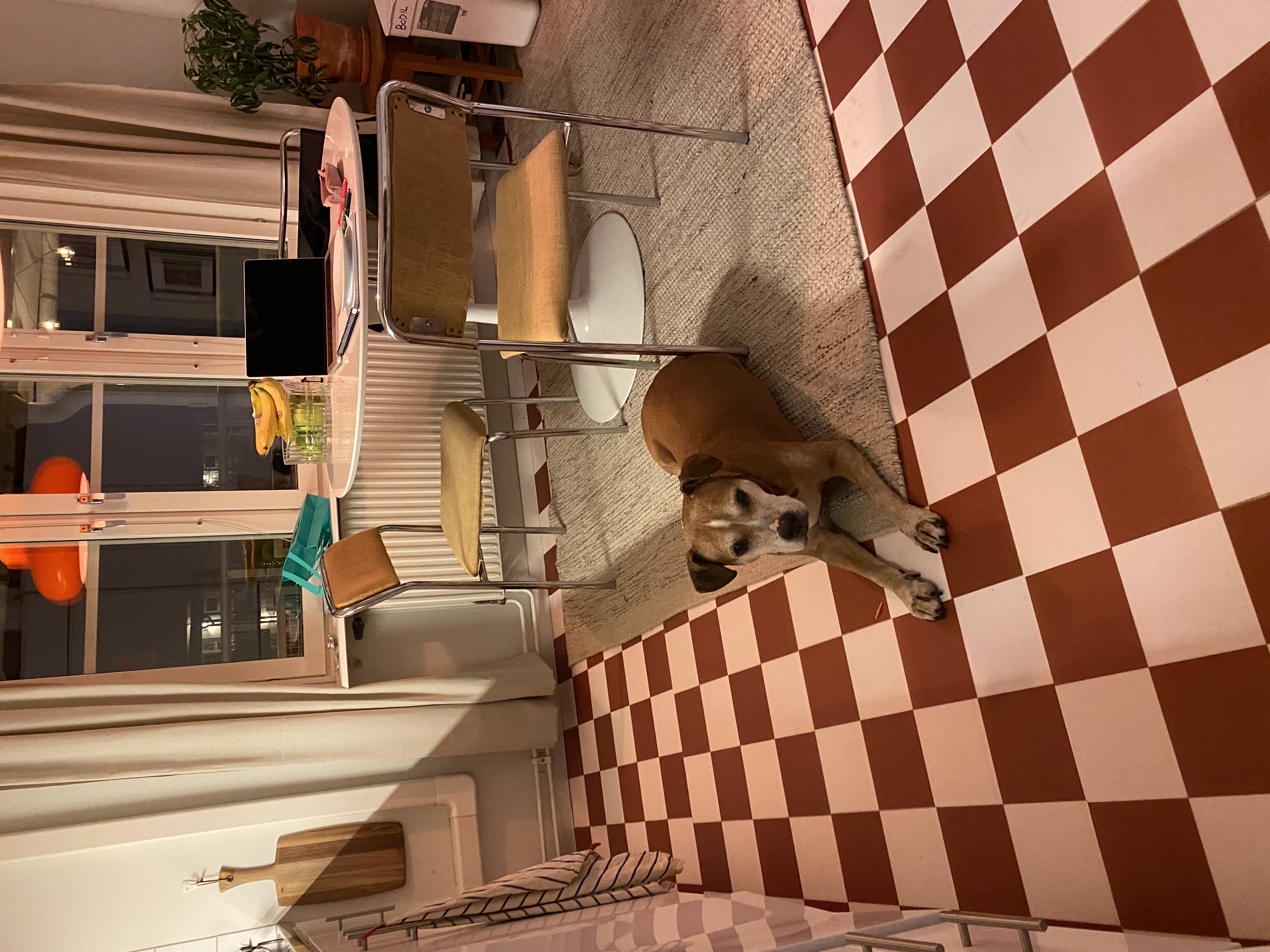 image-19
