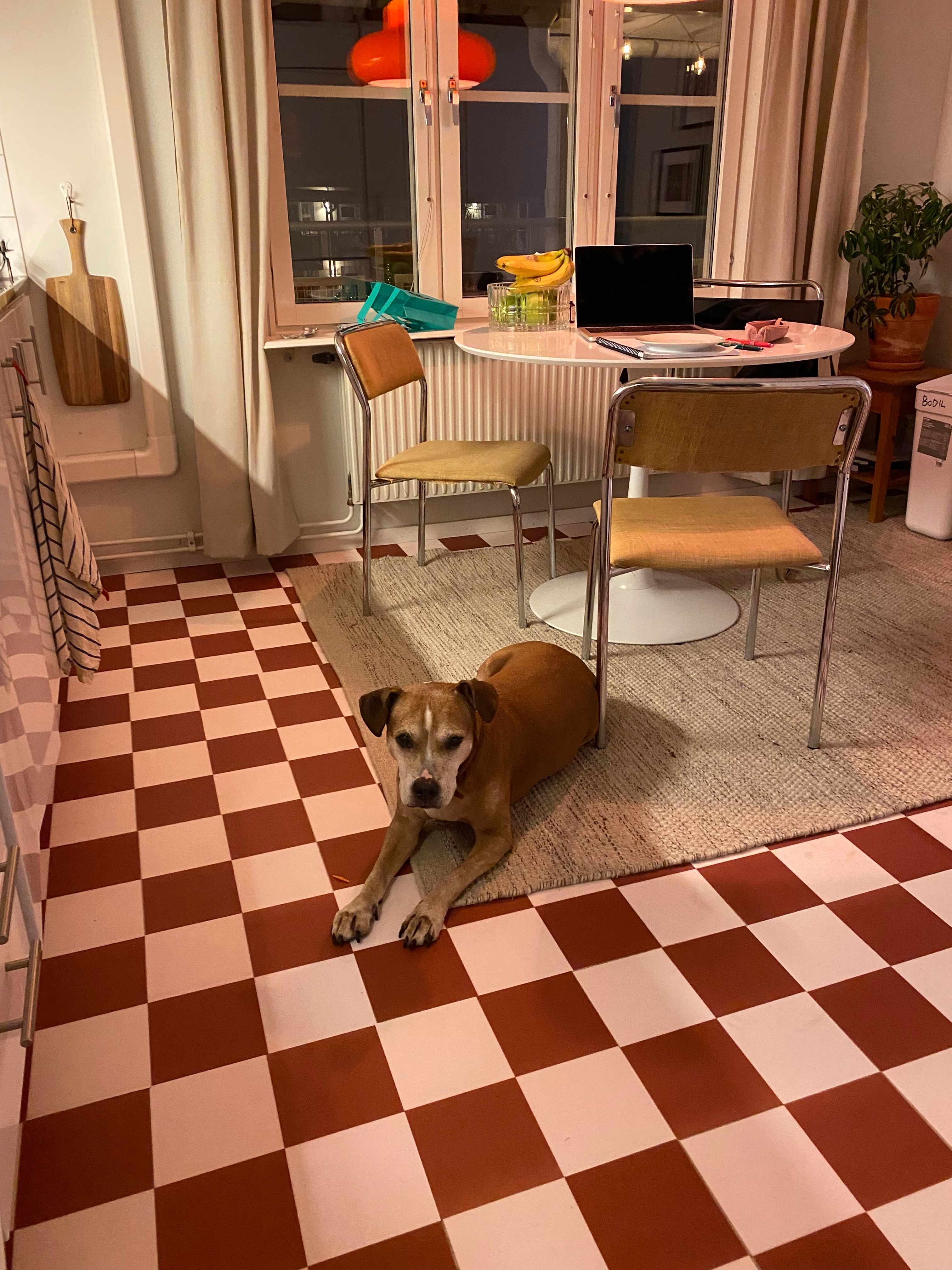 image-19