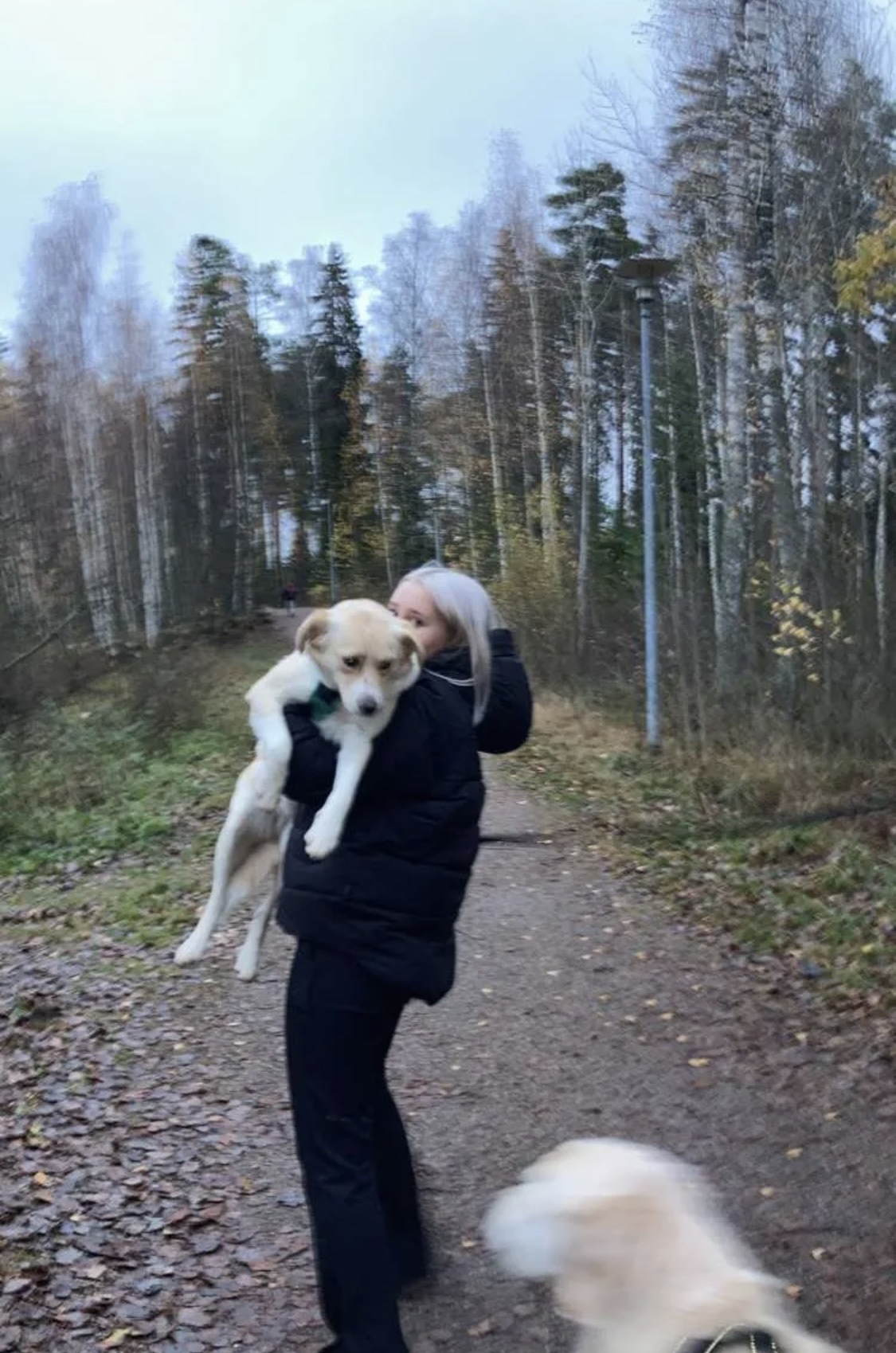 image-8
