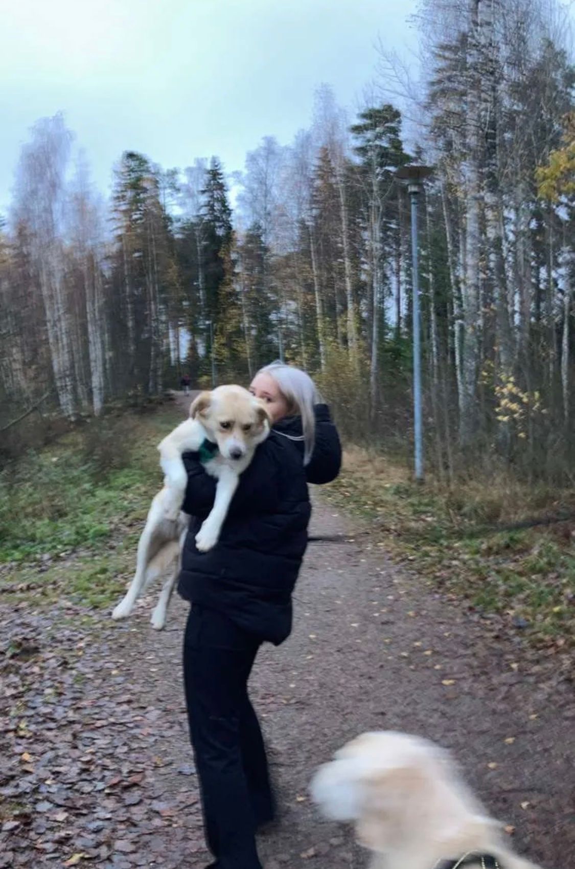 image-8