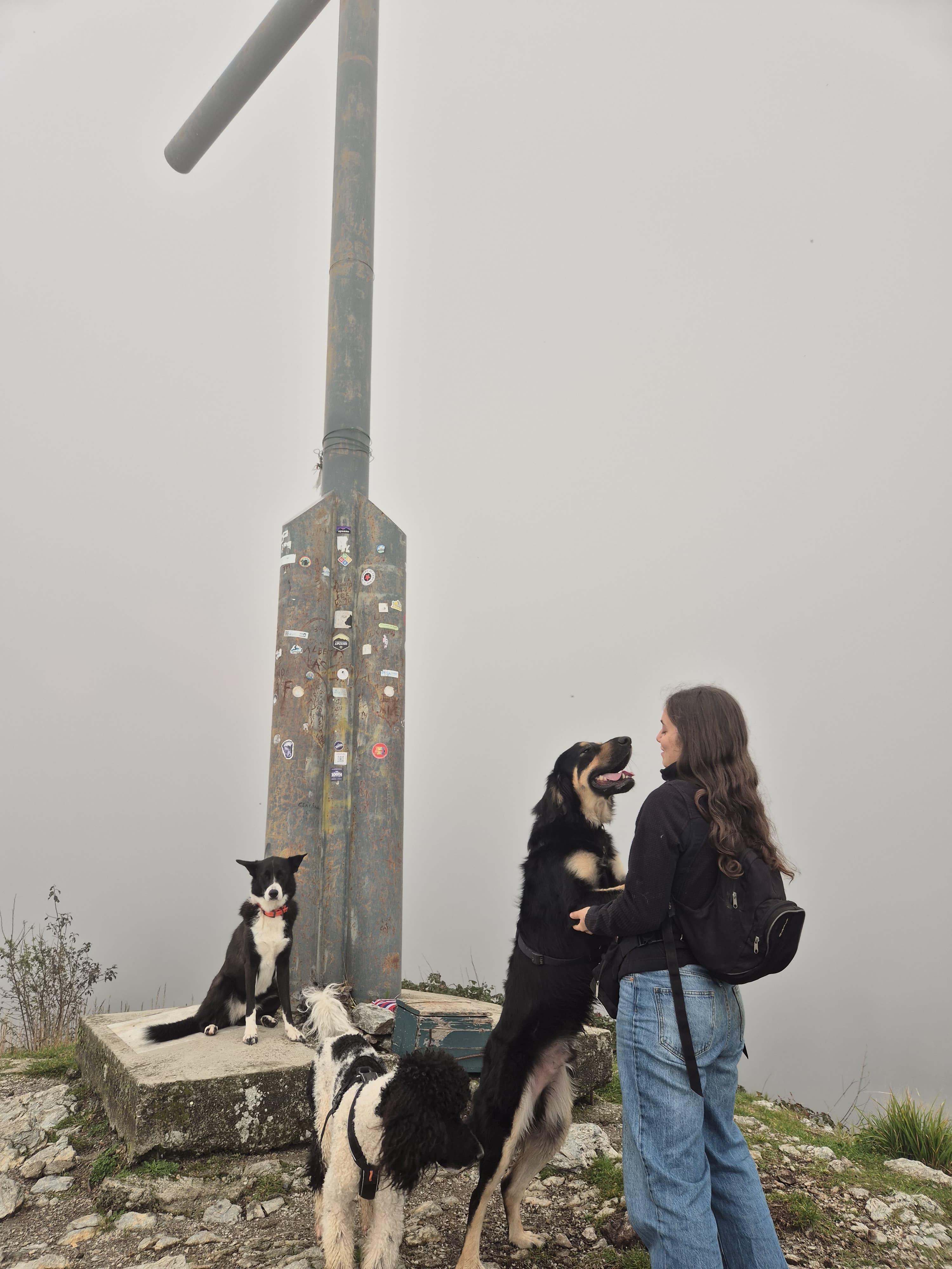 image-50