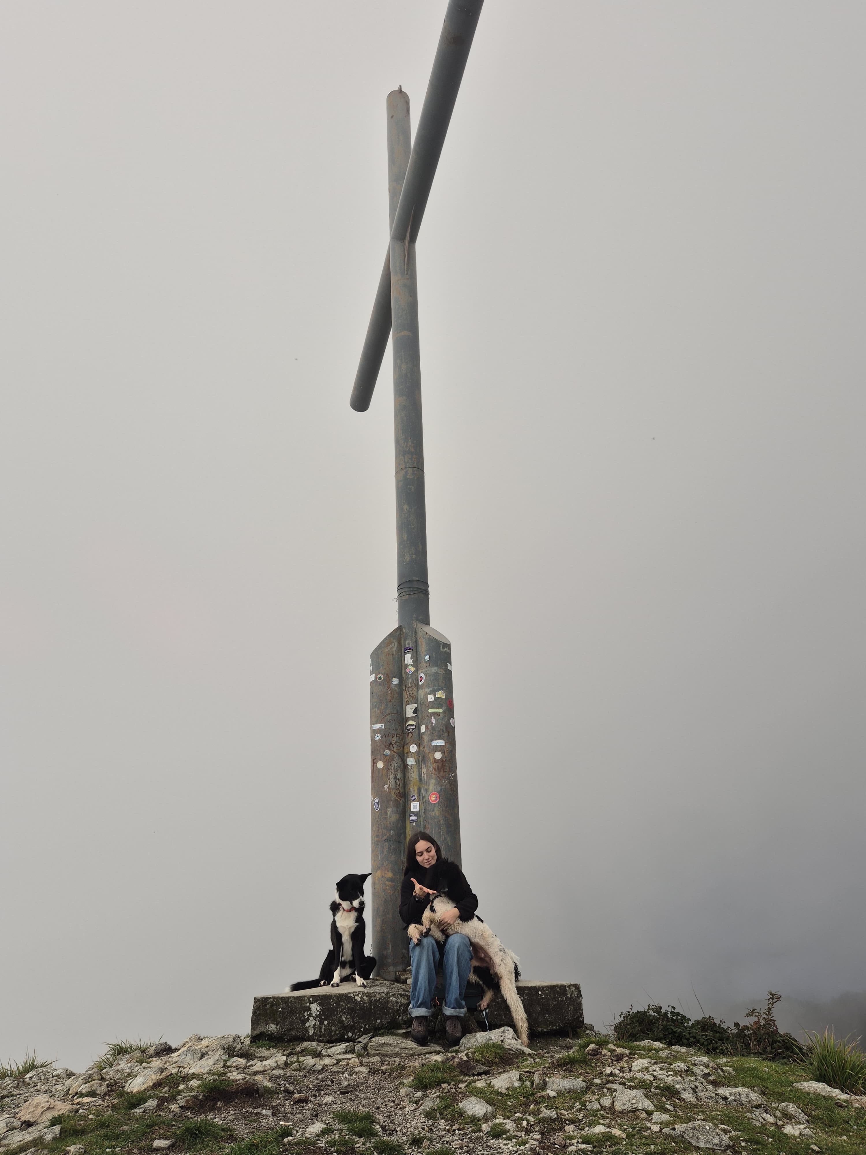 image-51