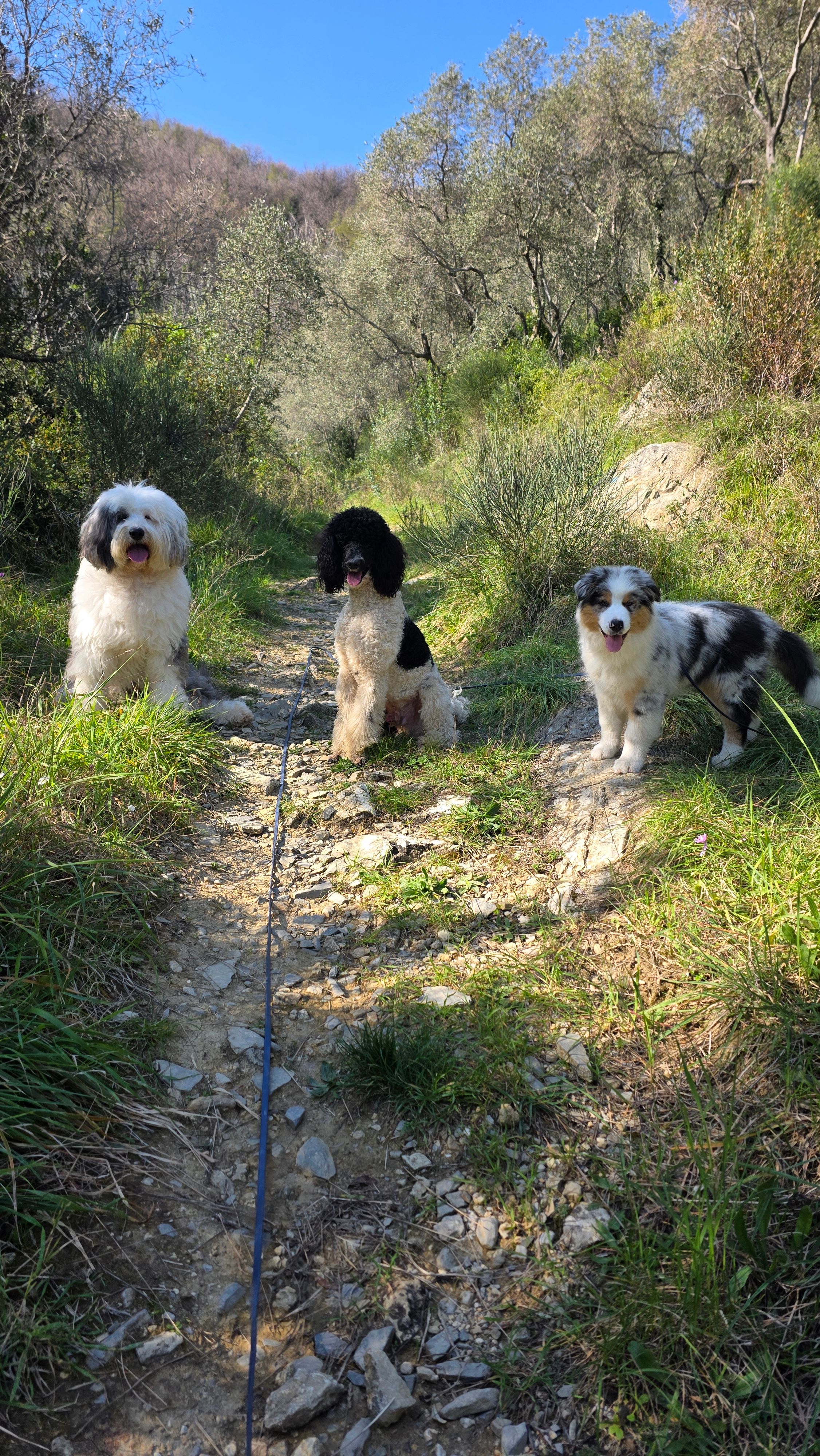 image-42