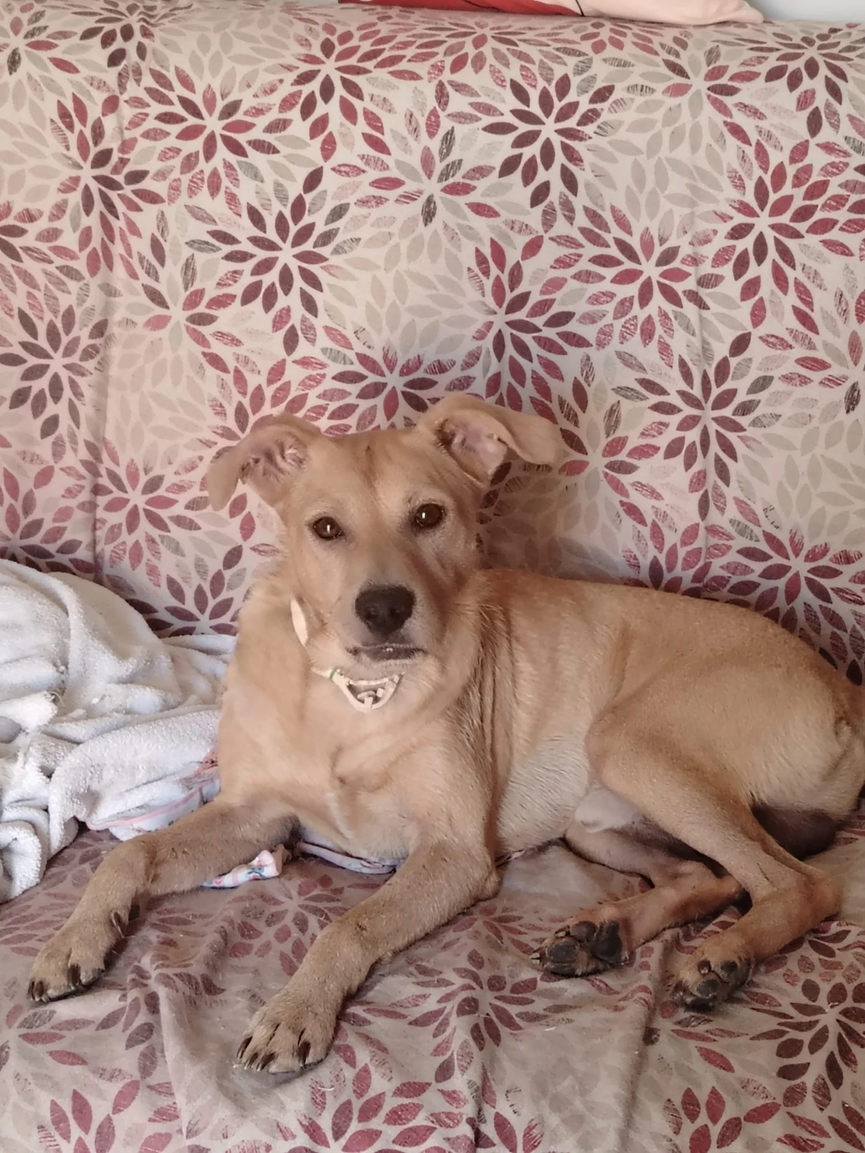 image-15