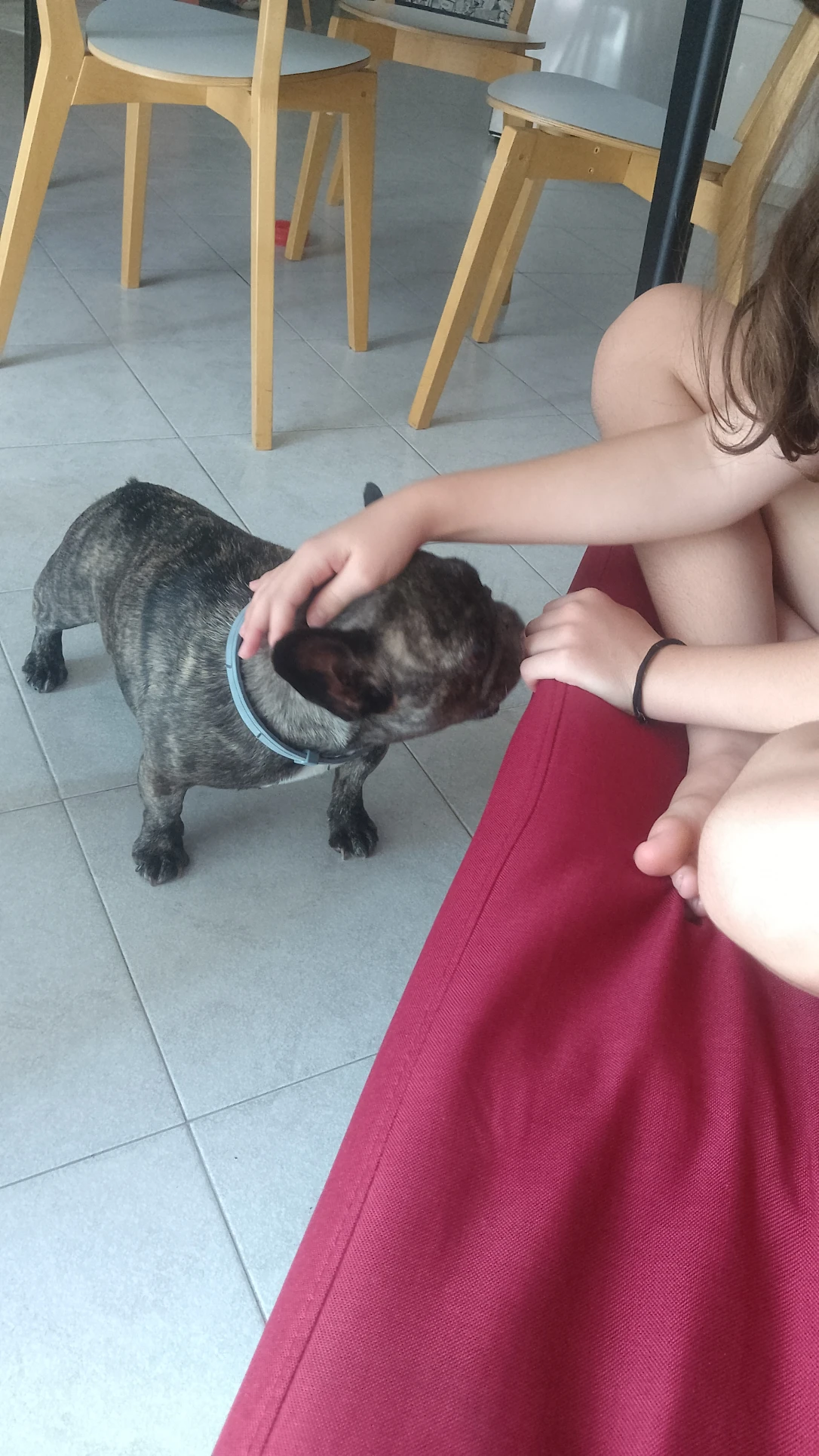 image-13