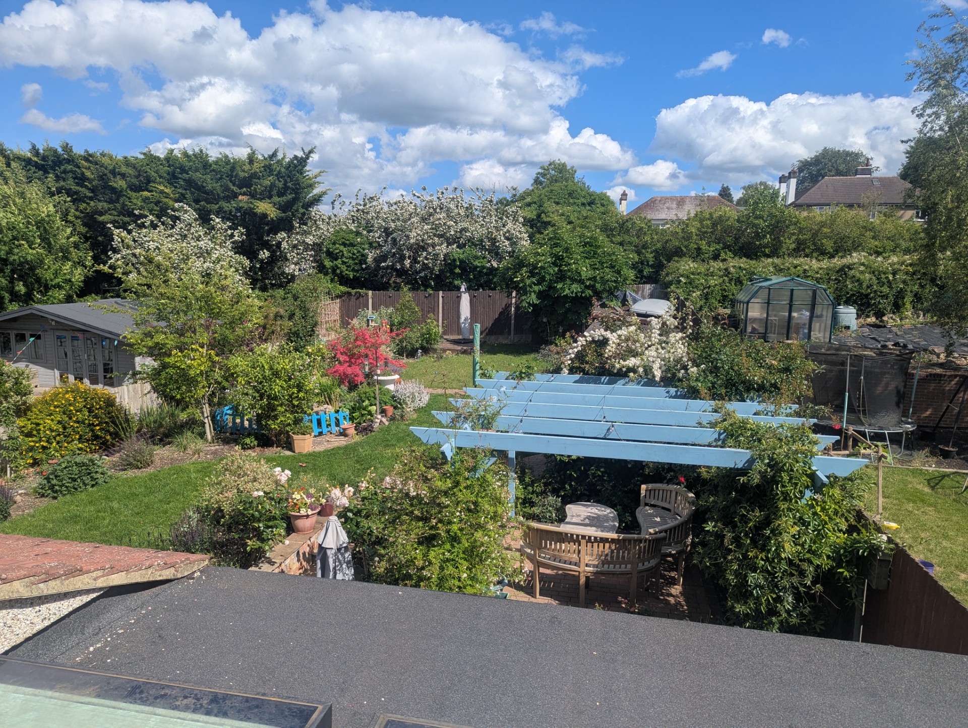 image-6