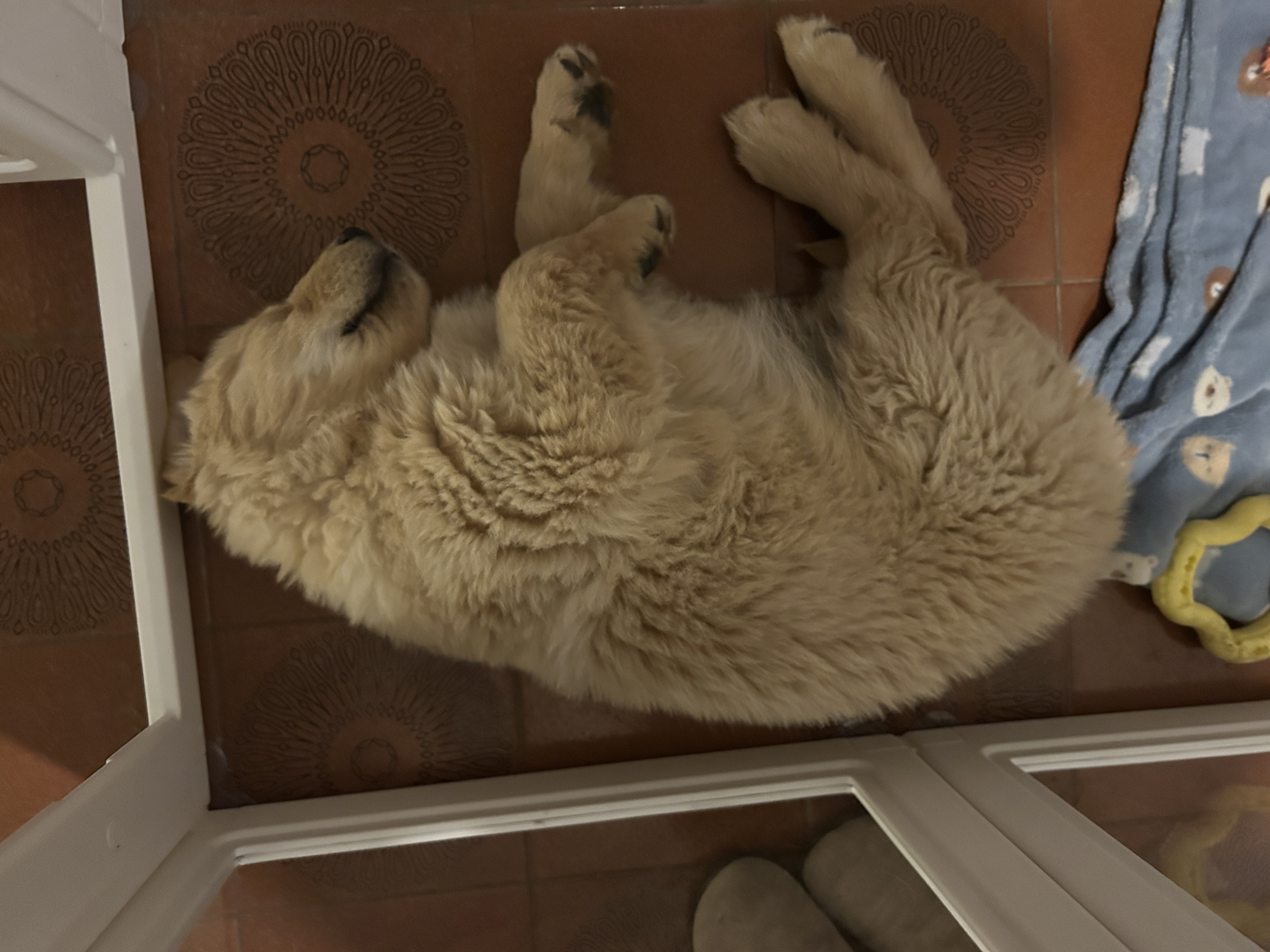 image-6