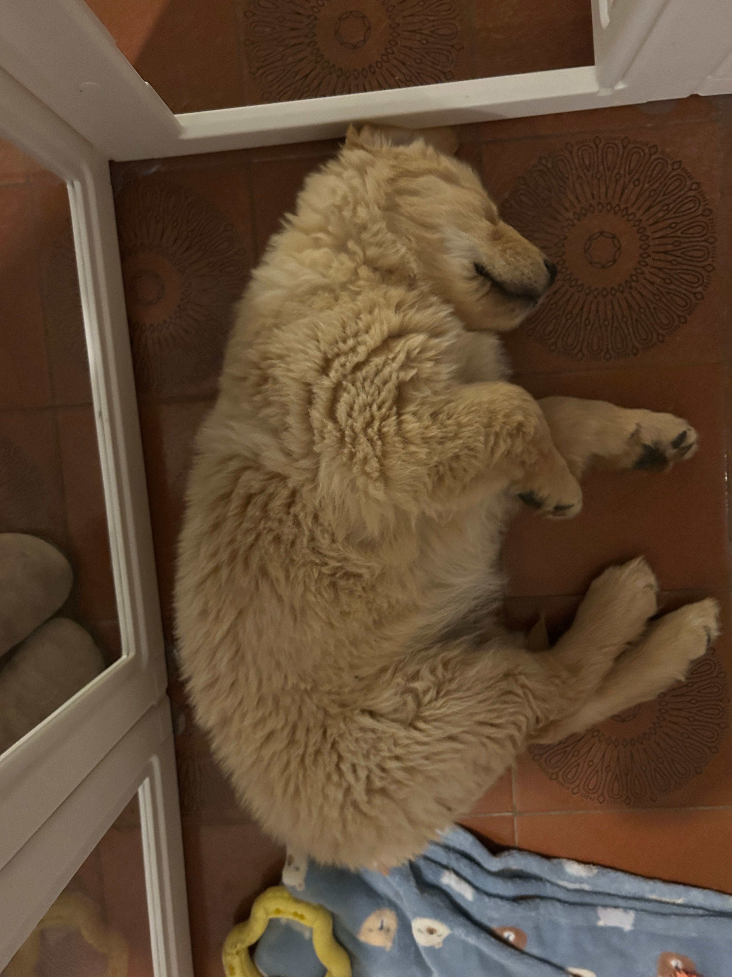 image-6