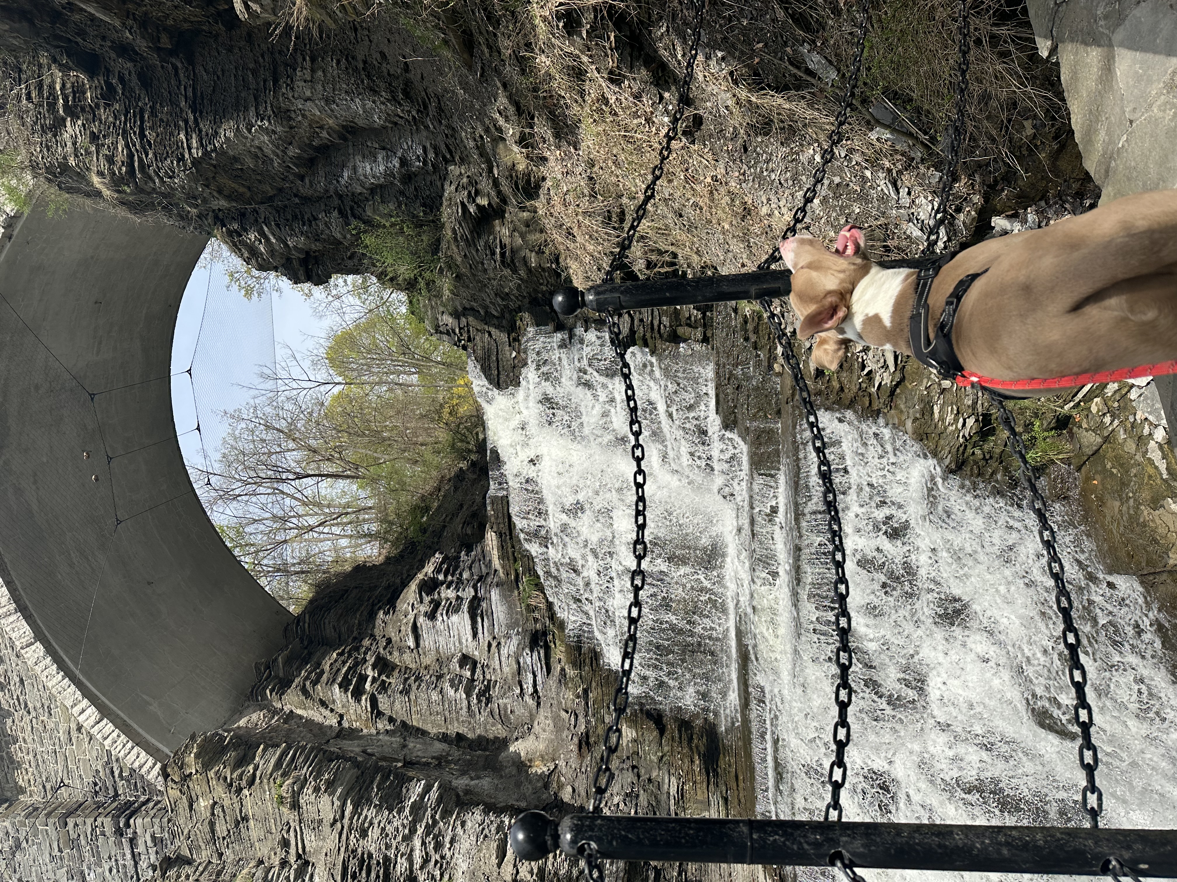 image-6