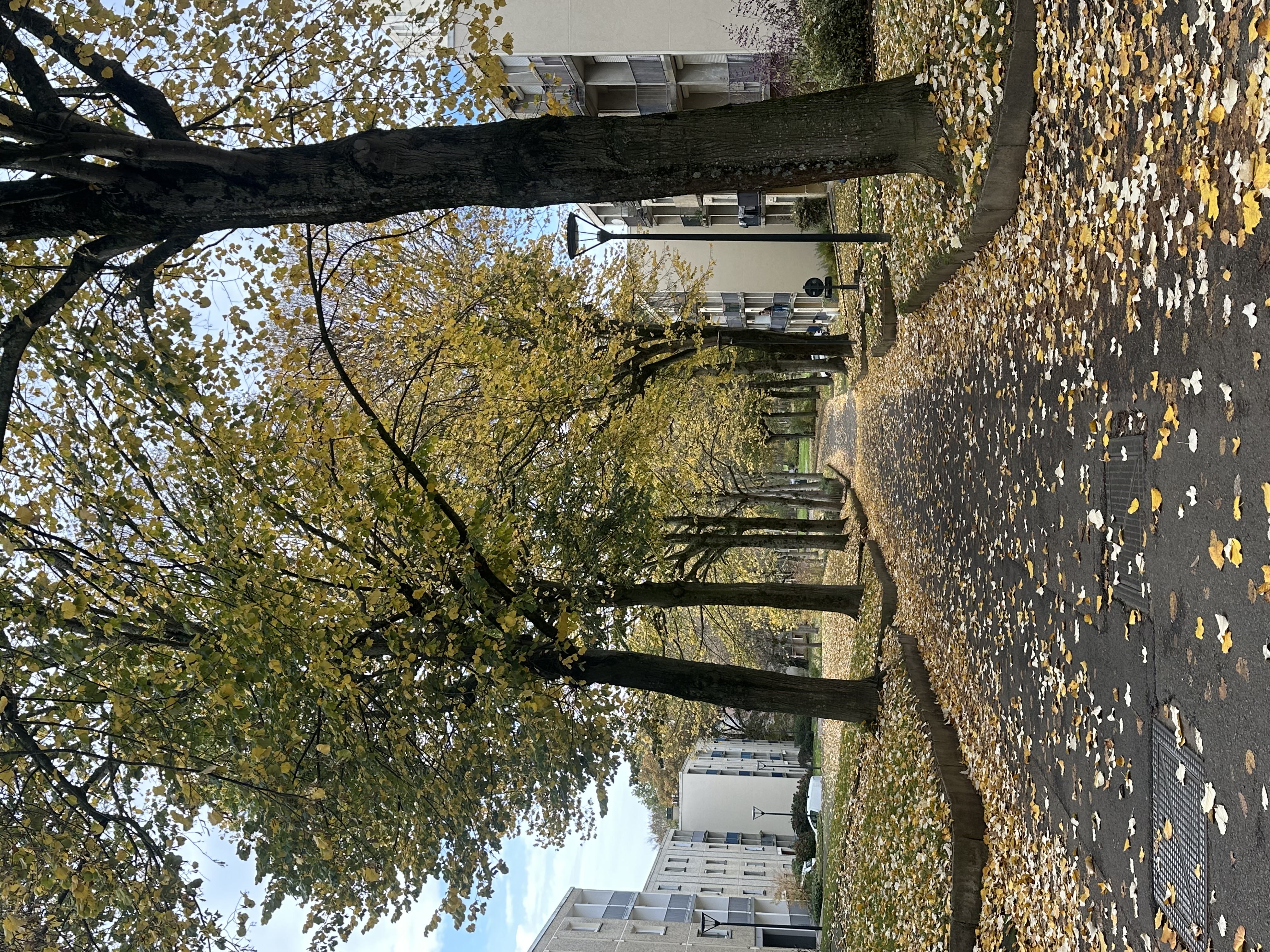 image-14