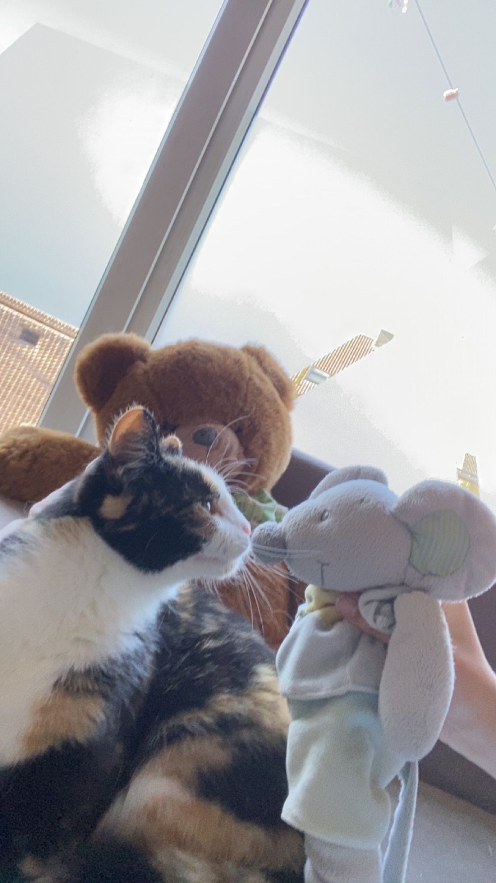 image-8