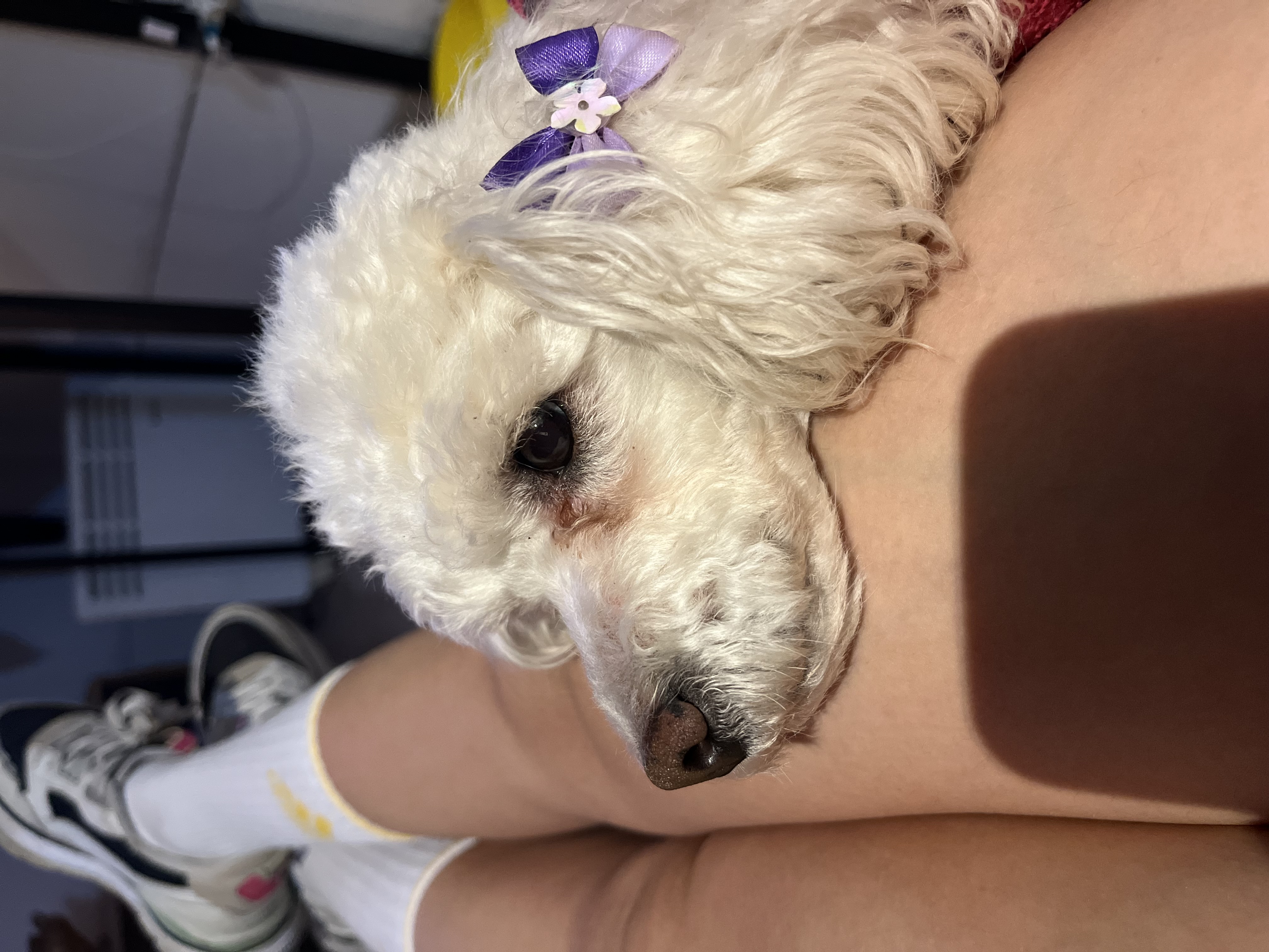 image-7