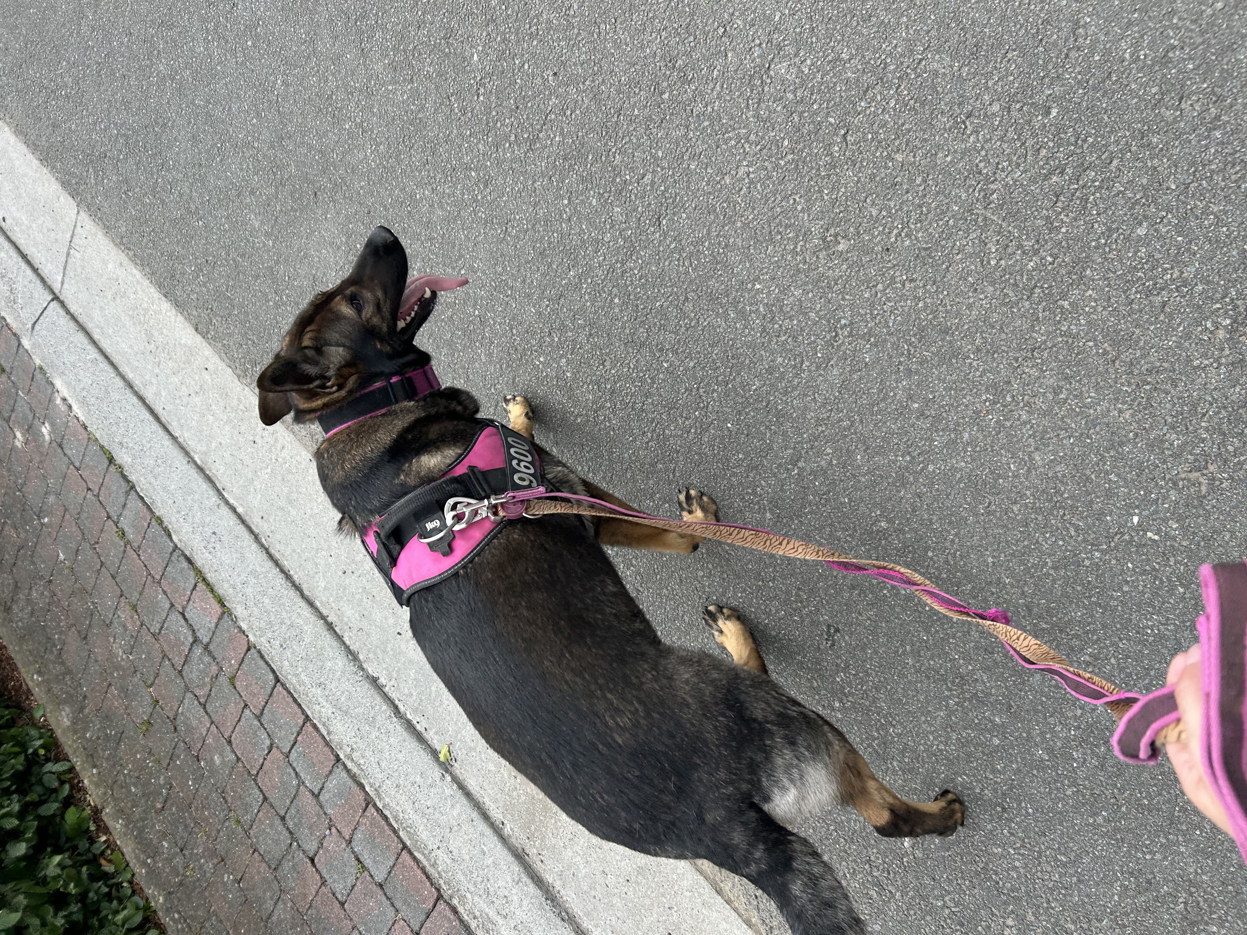 image-4