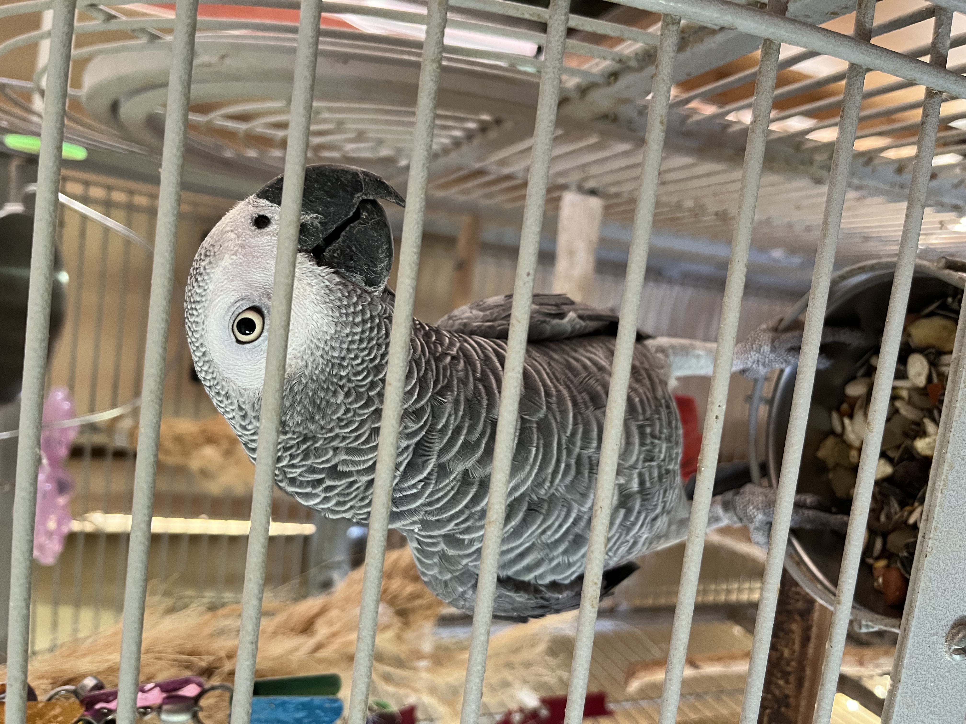 image-18