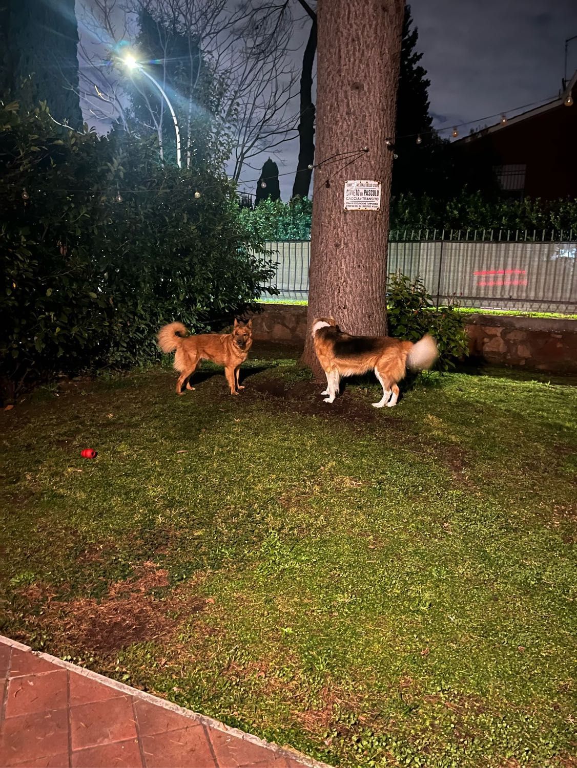 image-6