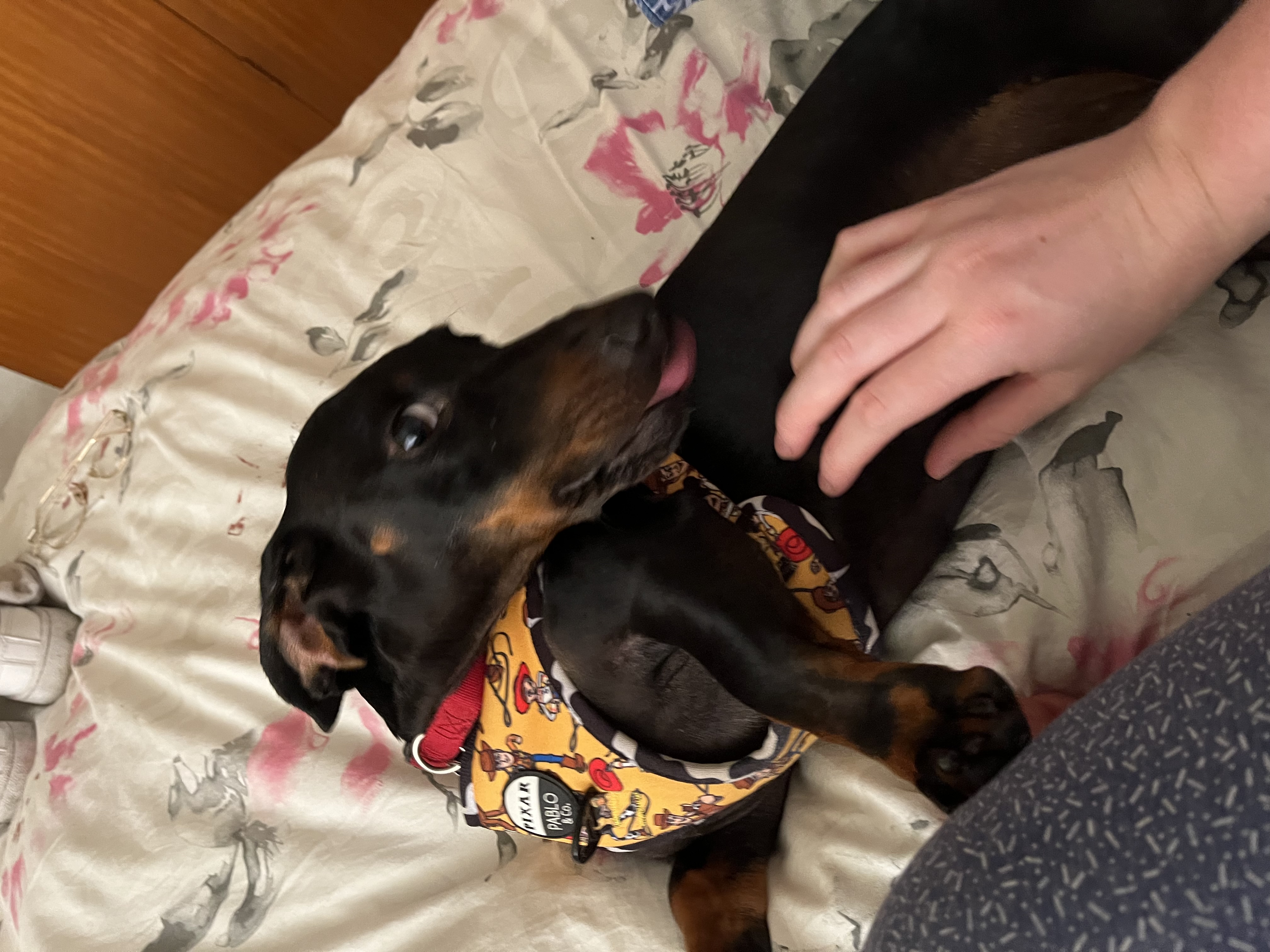 image-8