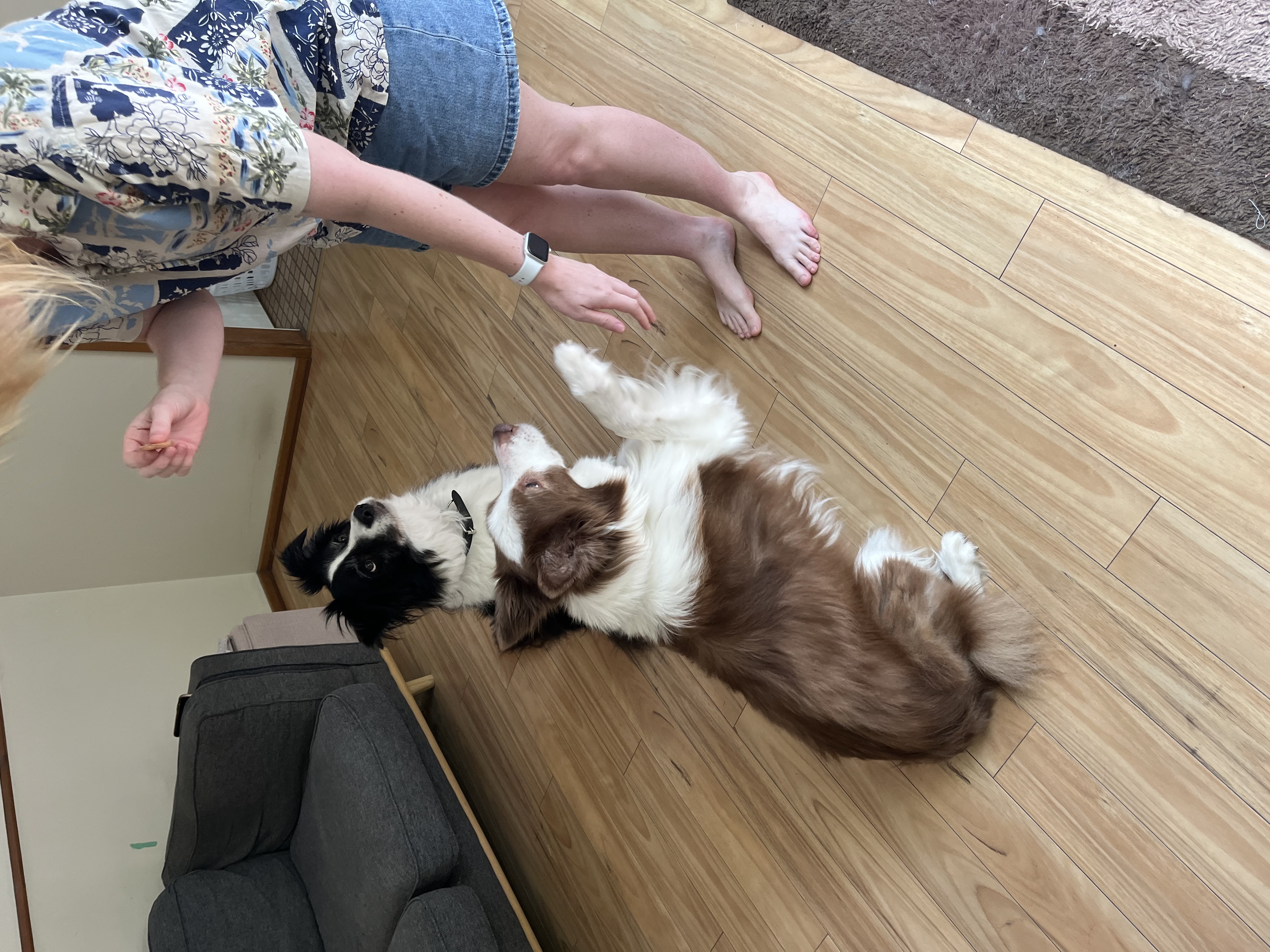 image-10
