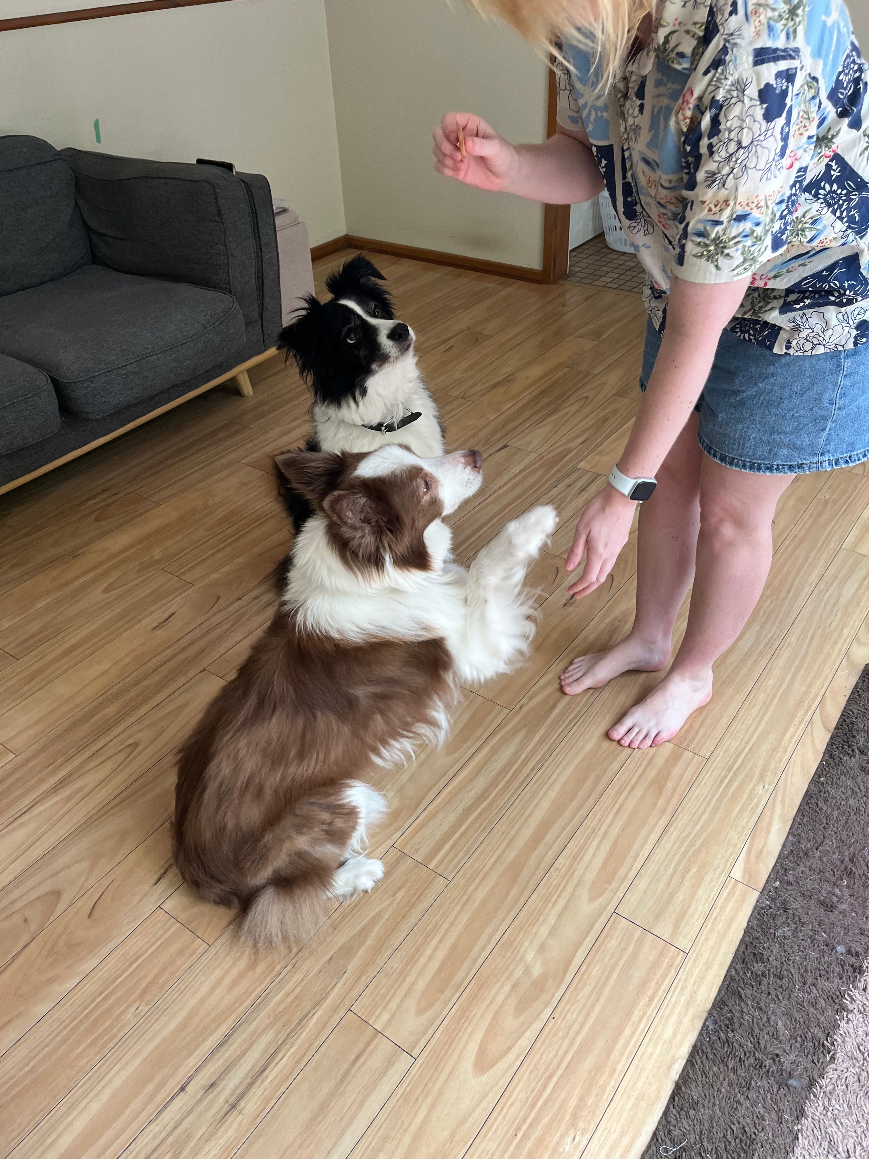 image-10