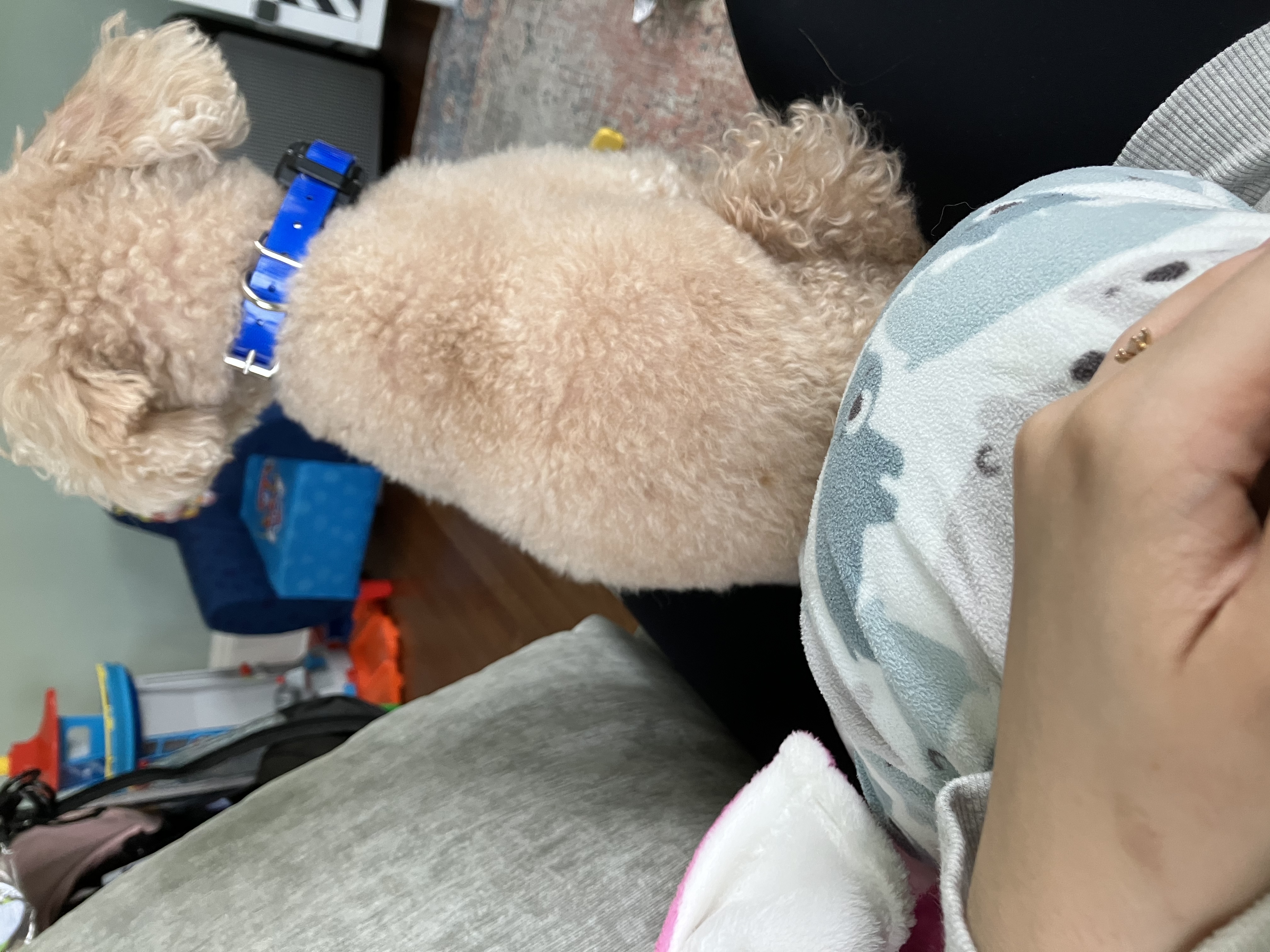 image-5