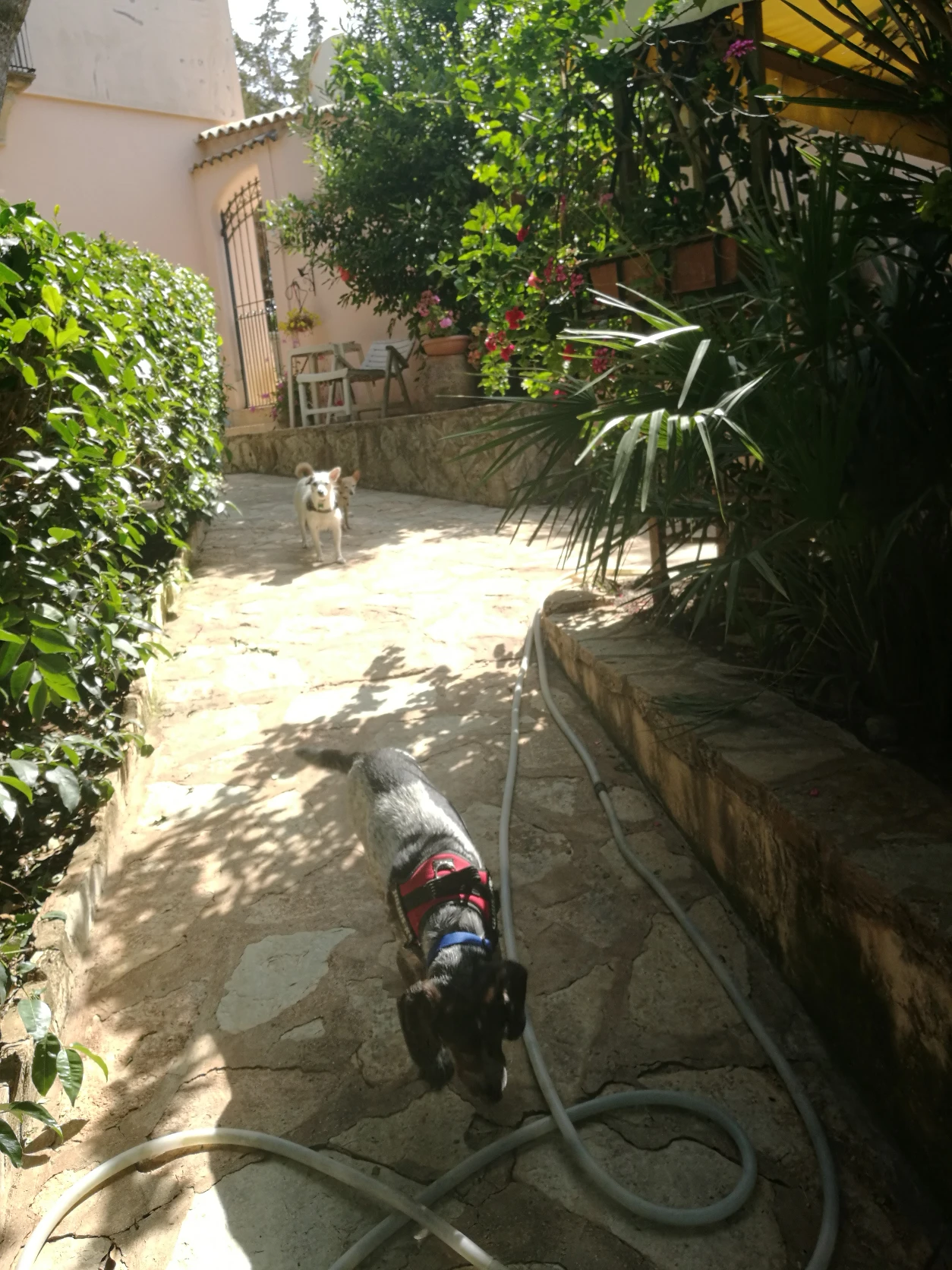 image-11