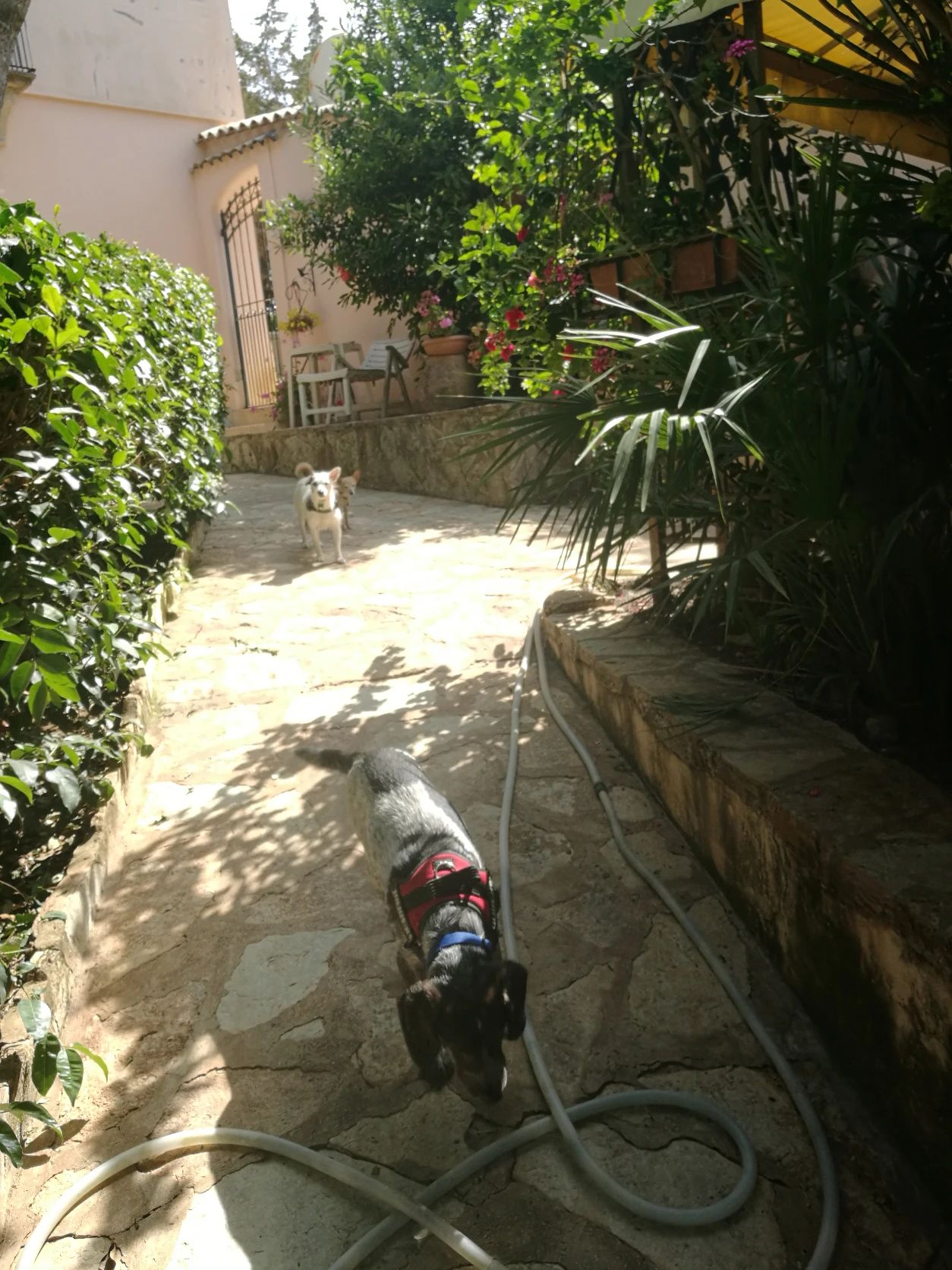 image-11