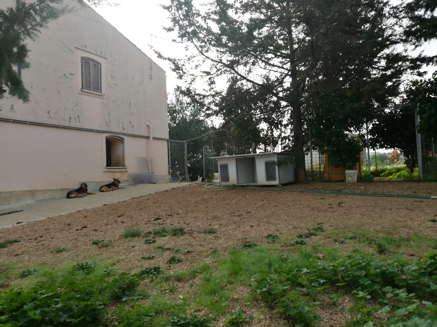 image-15