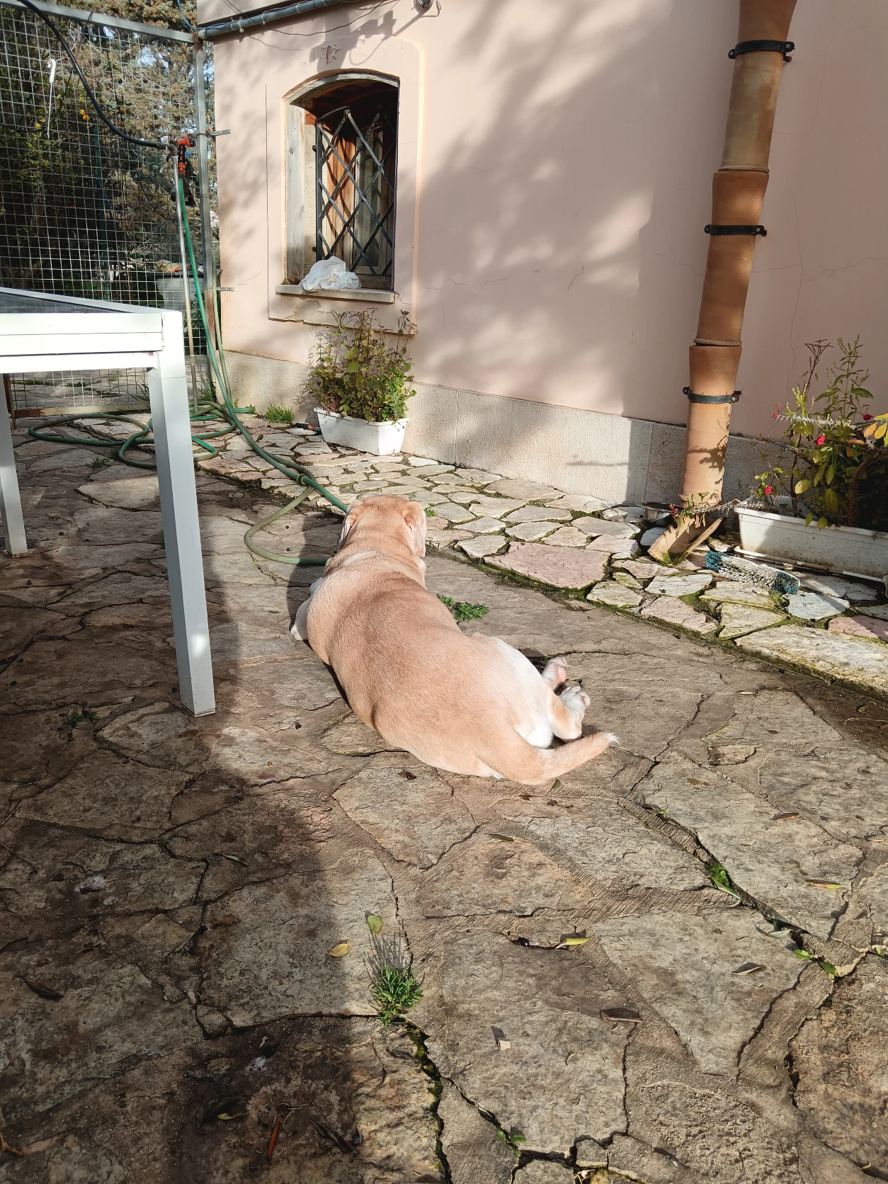 image-12