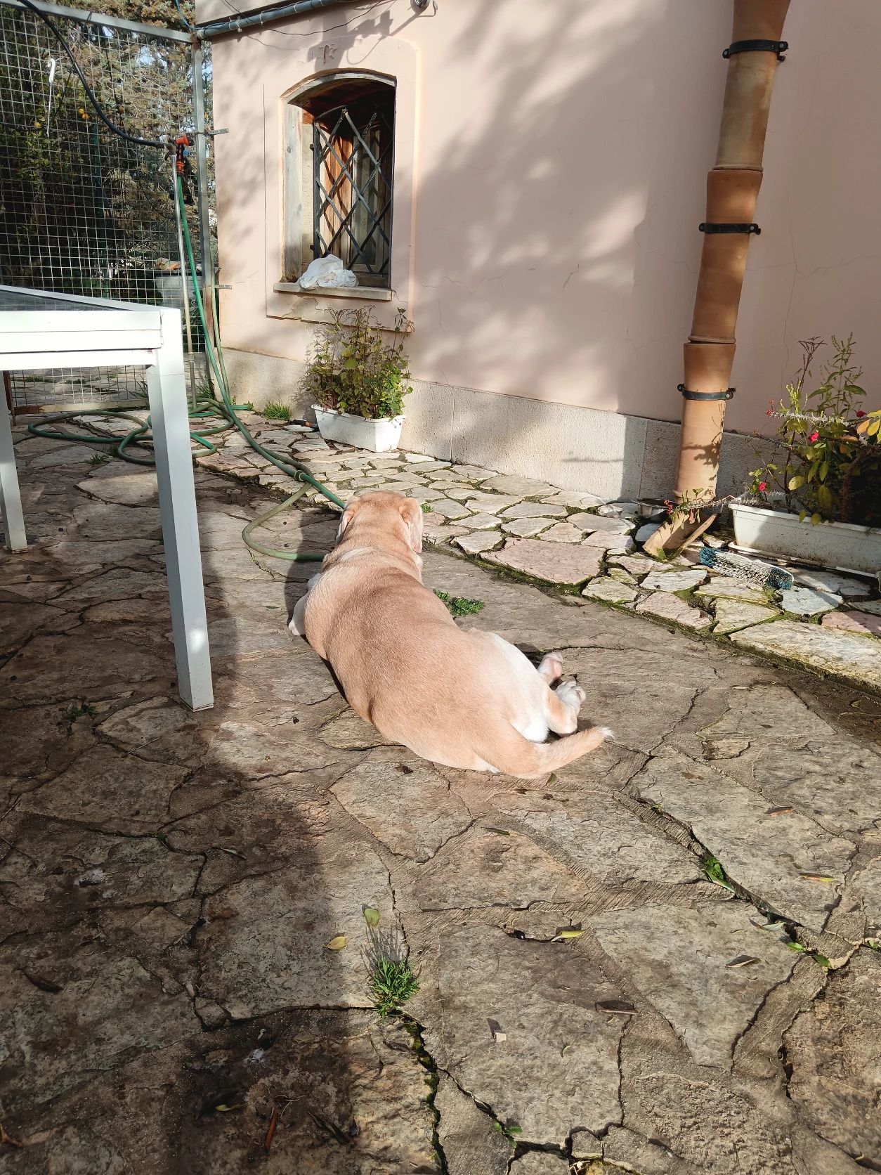 image-12