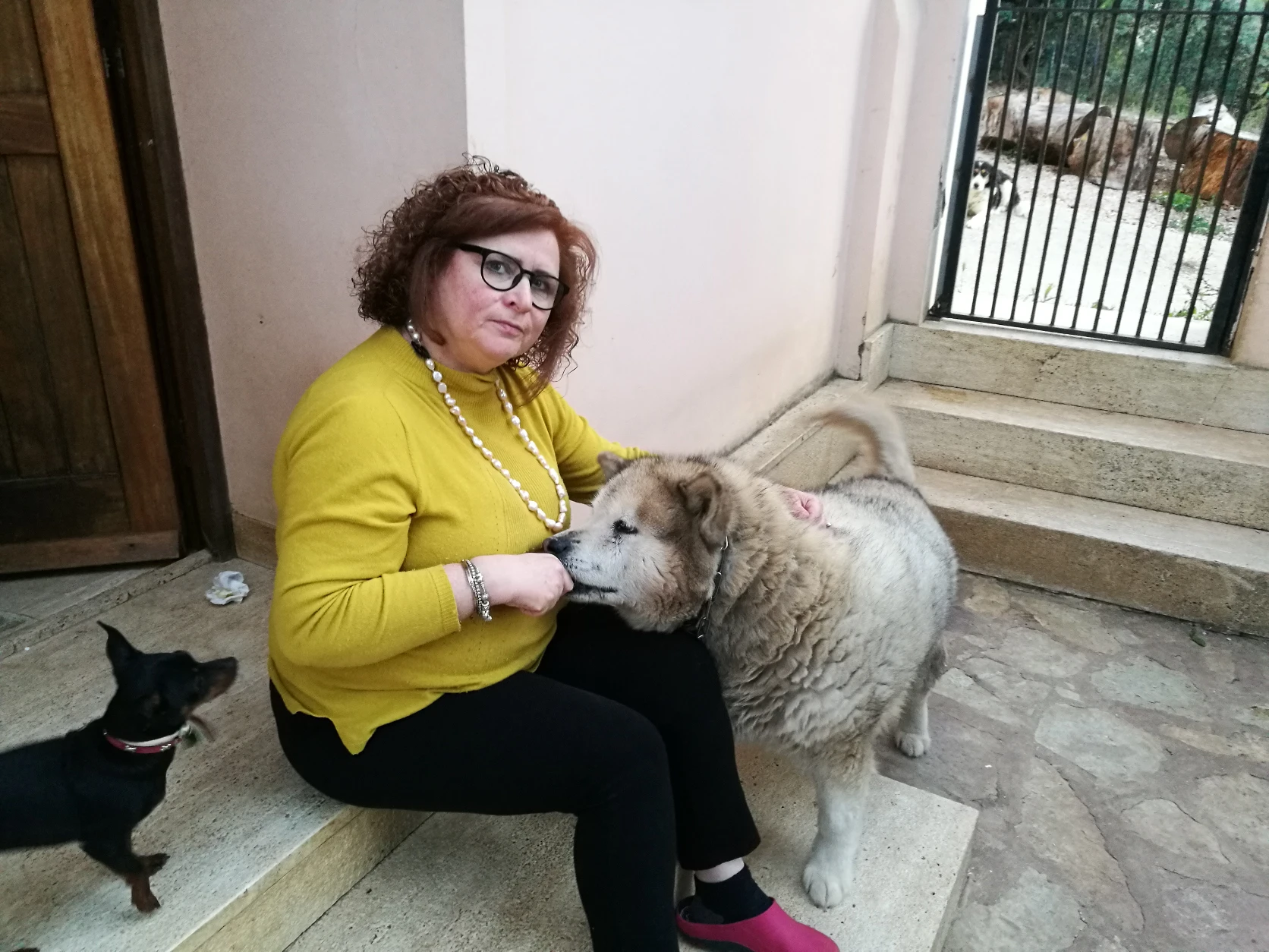 image-4