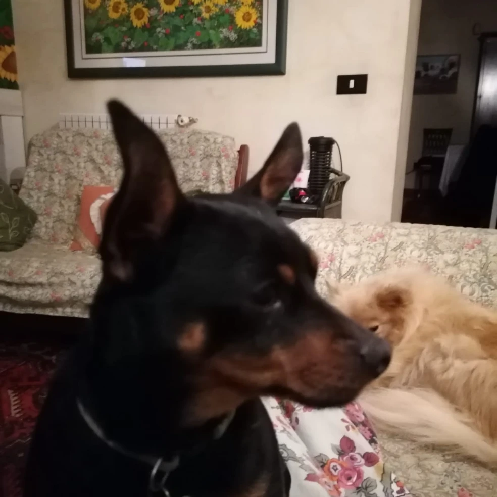 roco