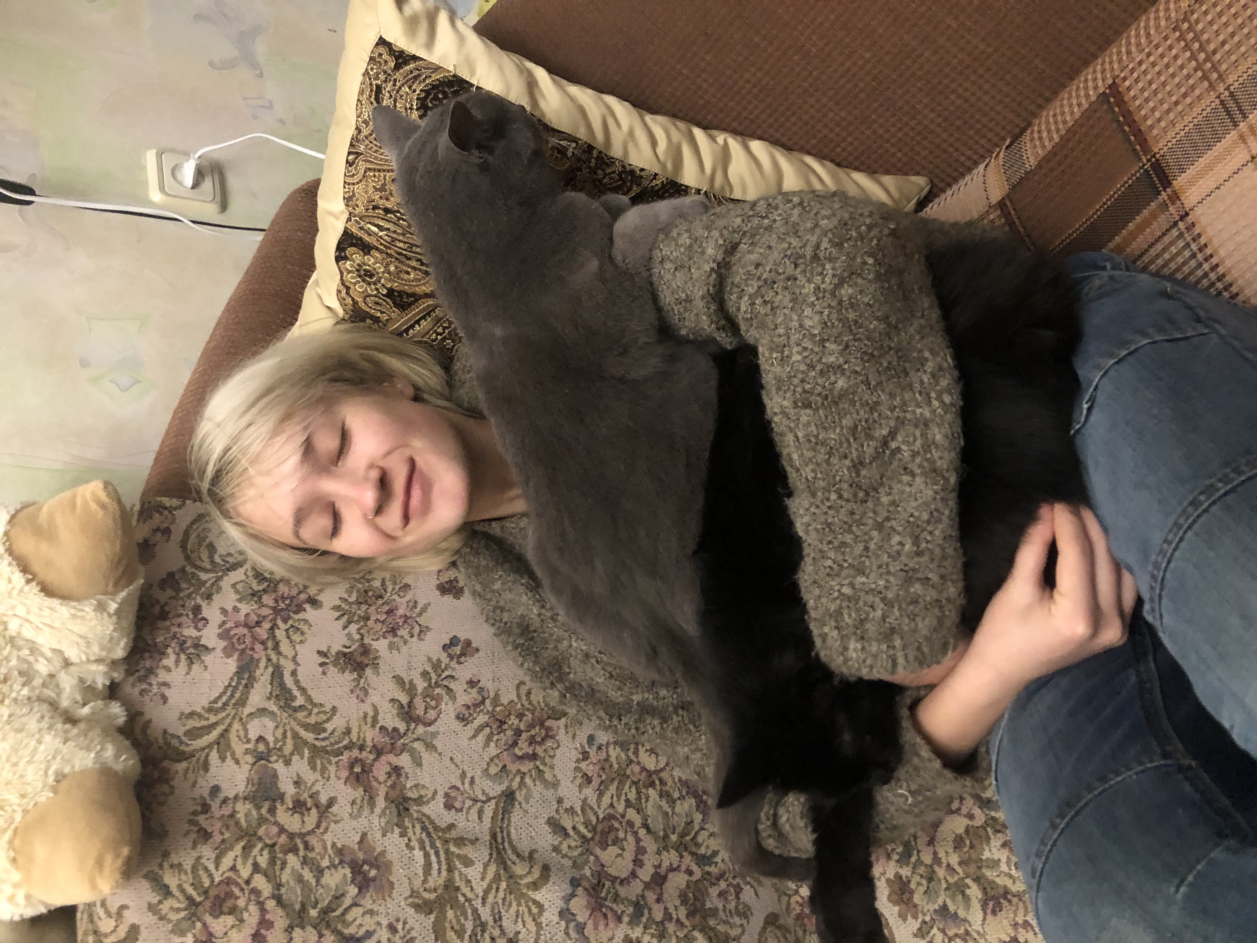 image-6