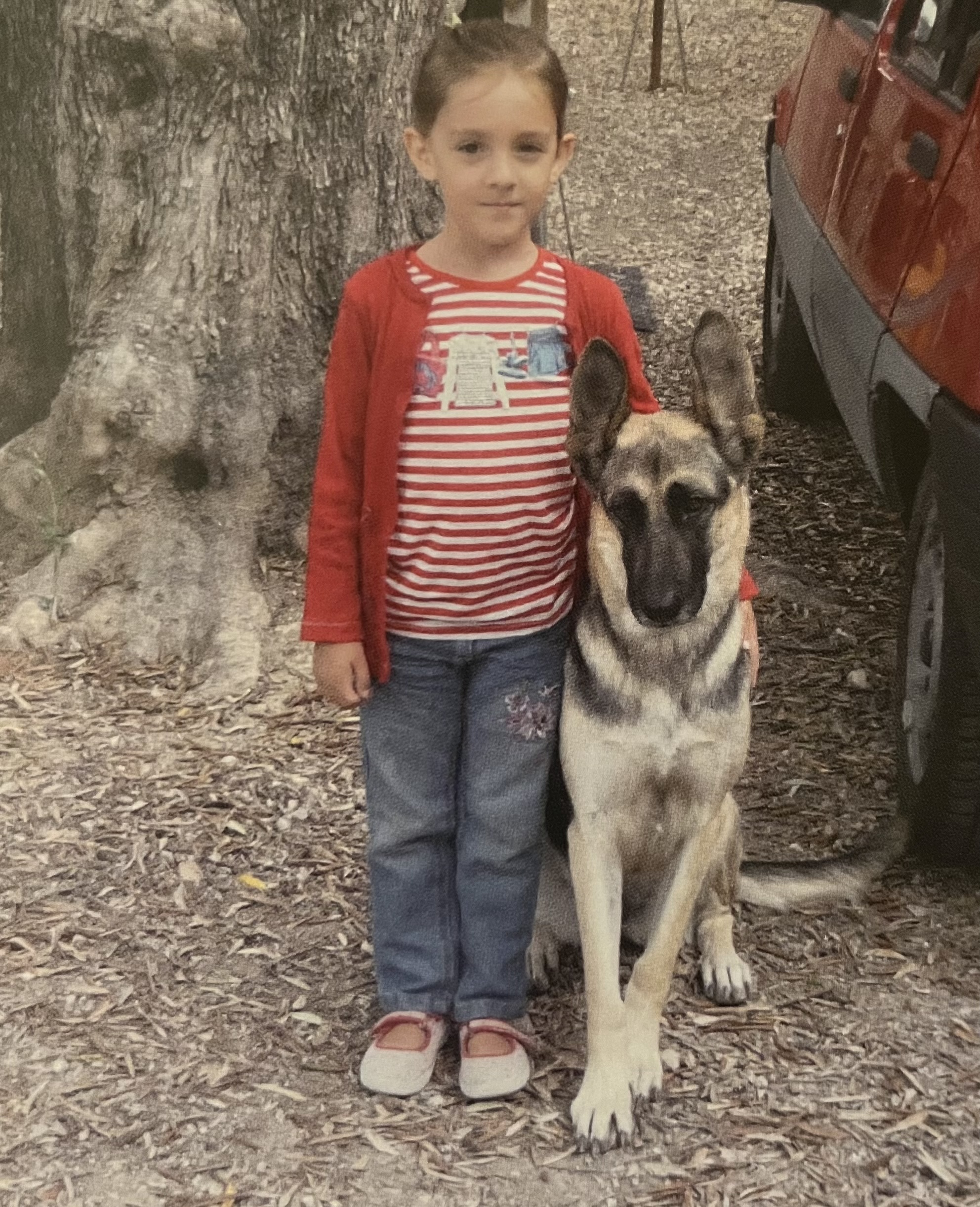 image-20