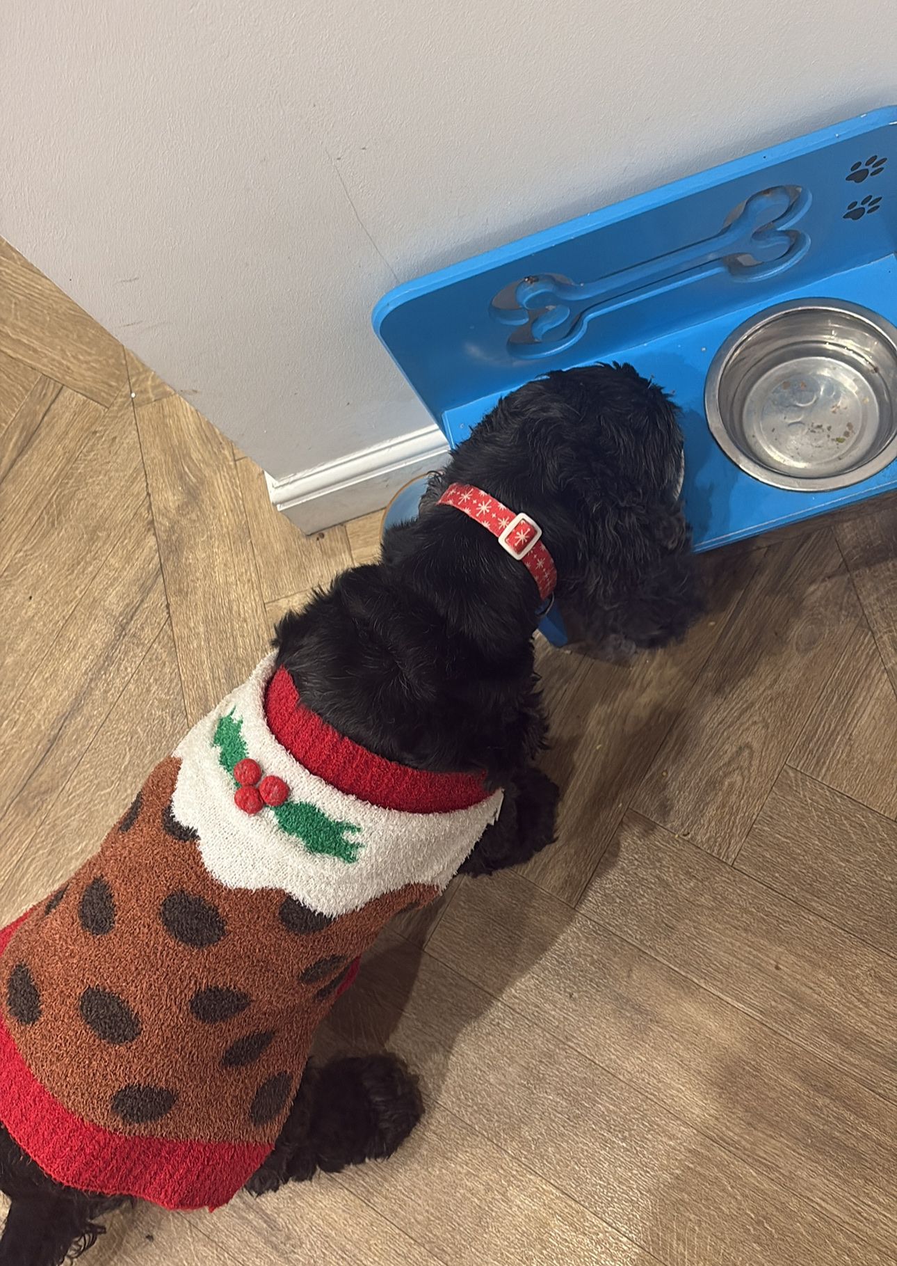image-6