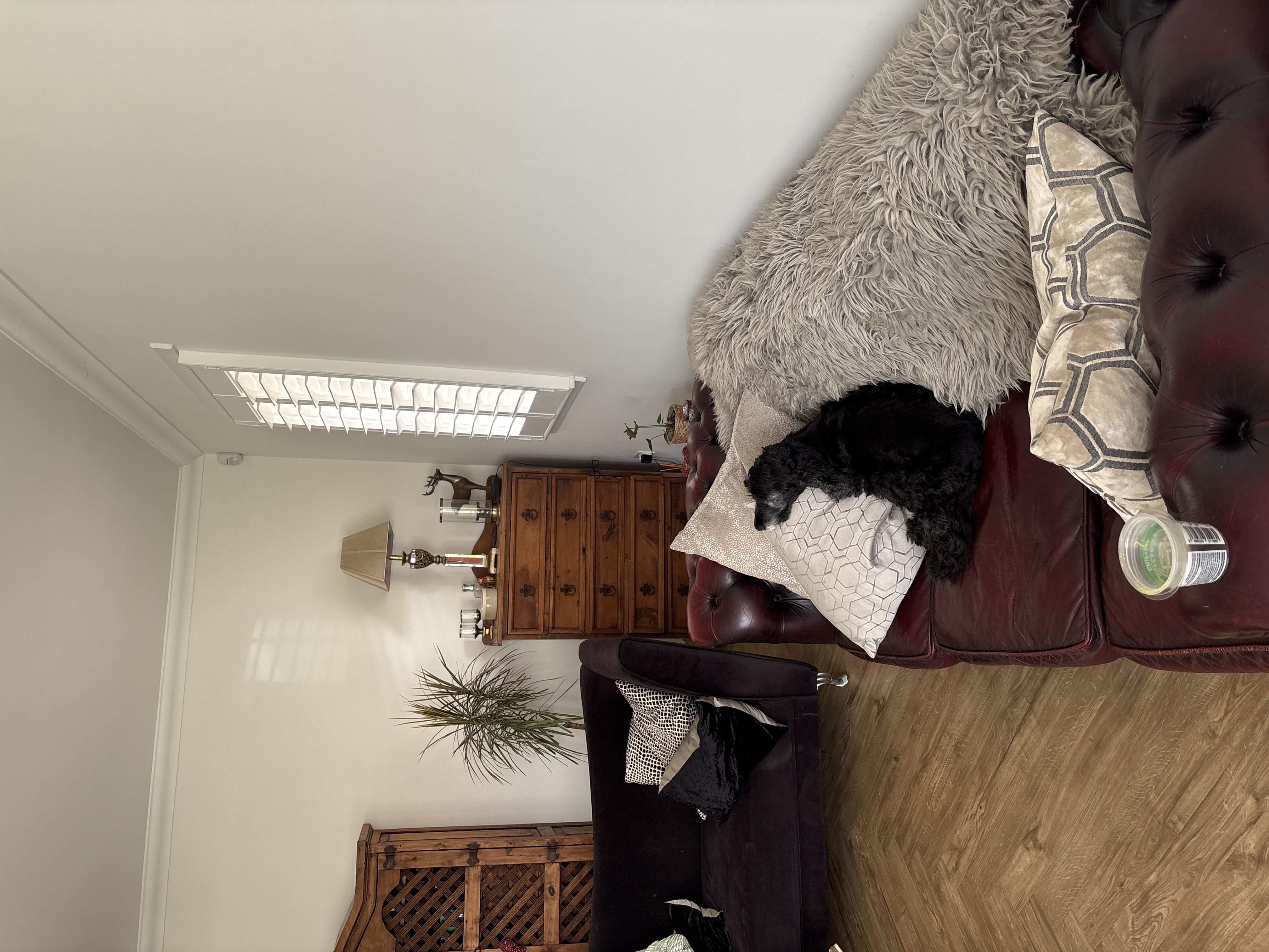 image-14
