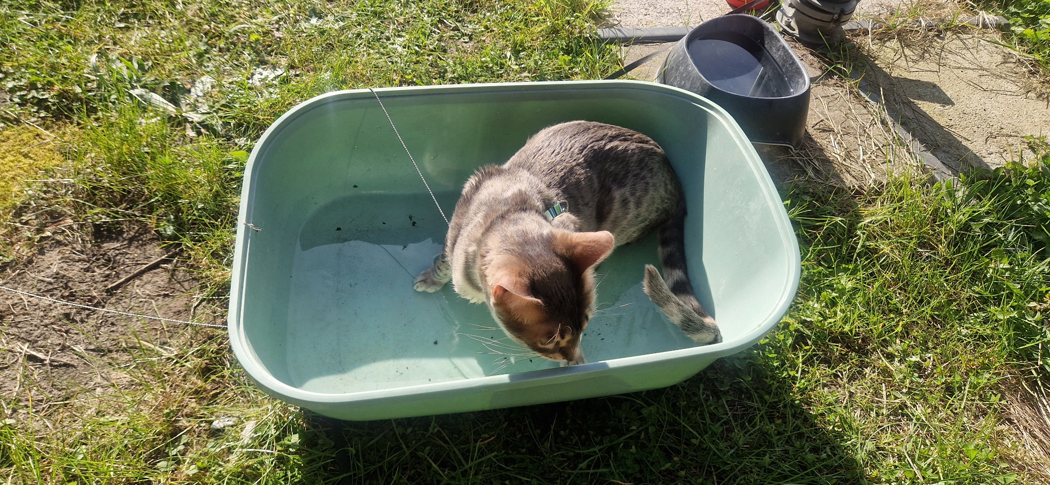 image-5