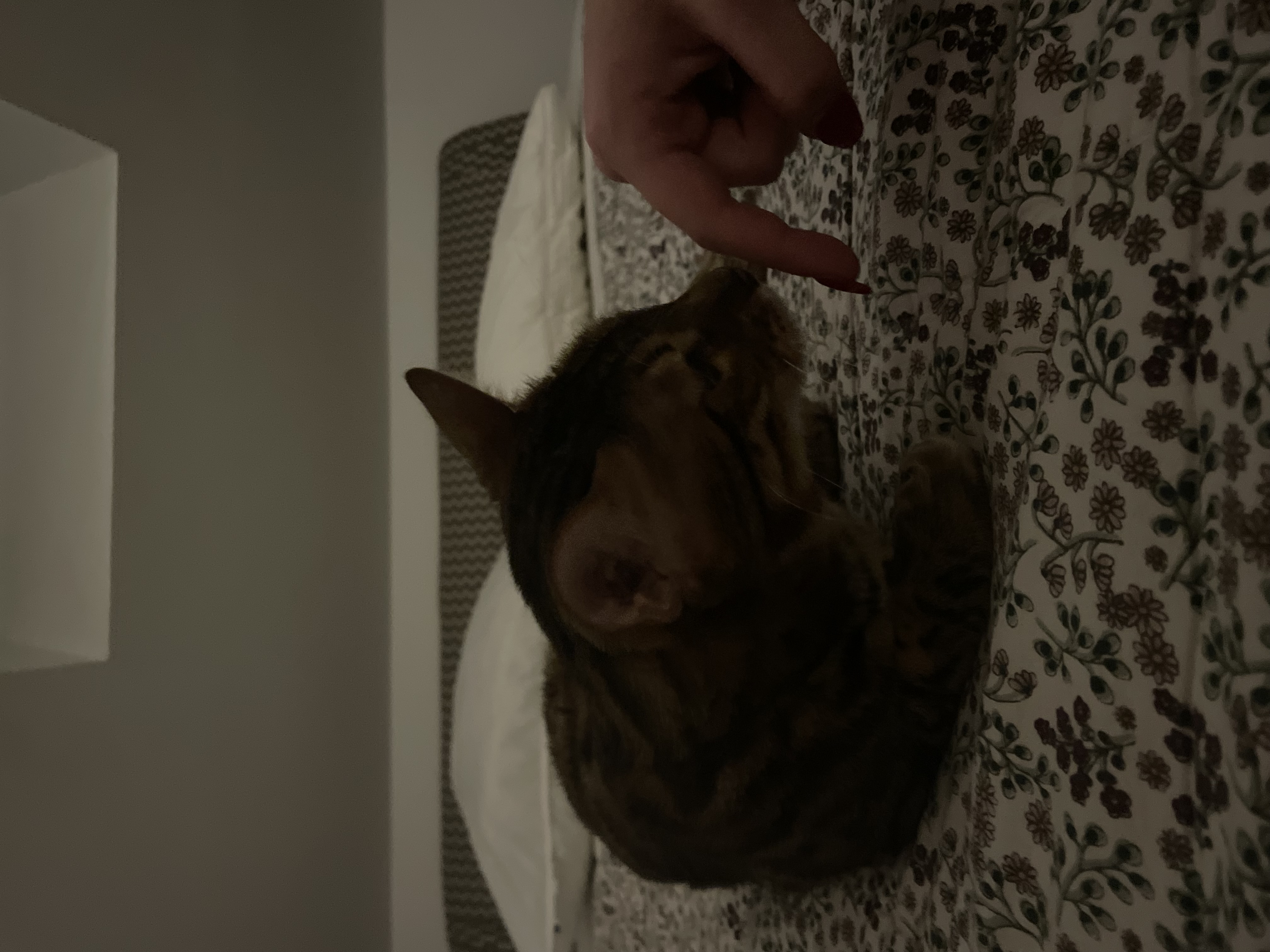 image-13