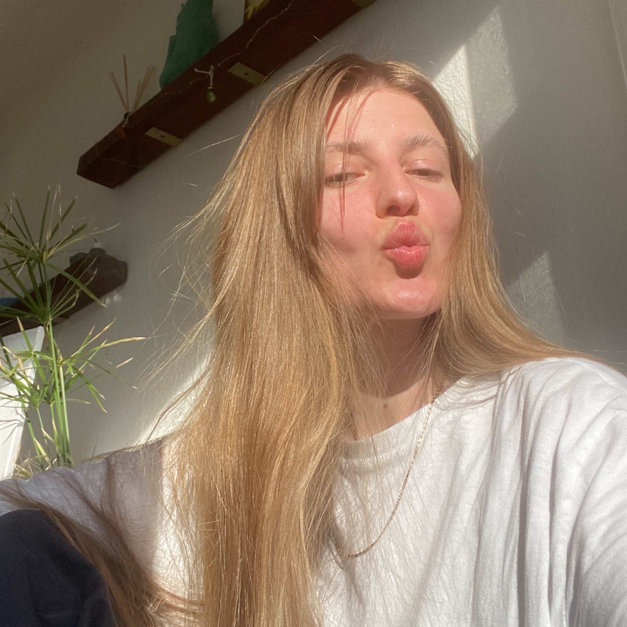 Lavinia