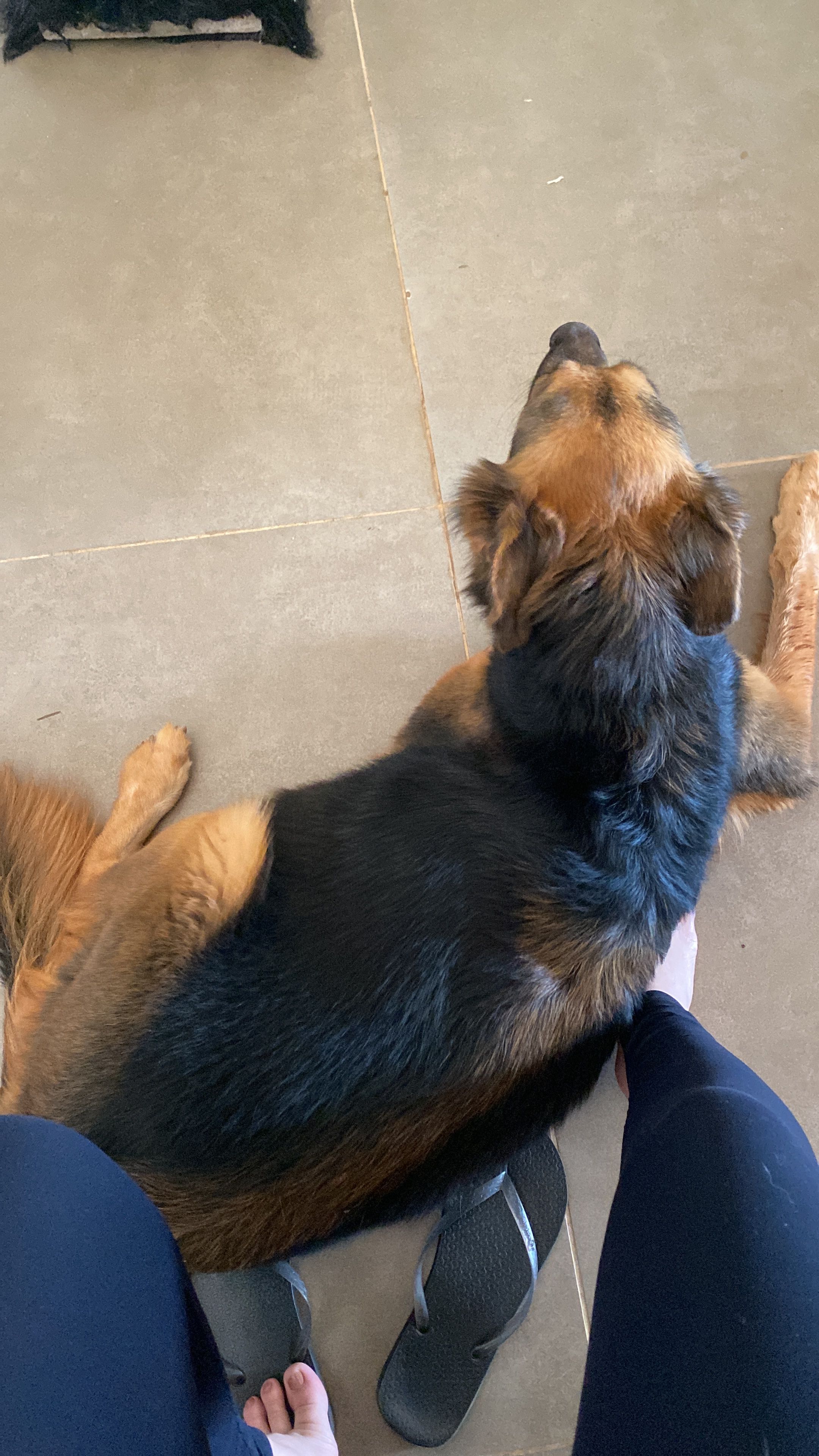 image-9