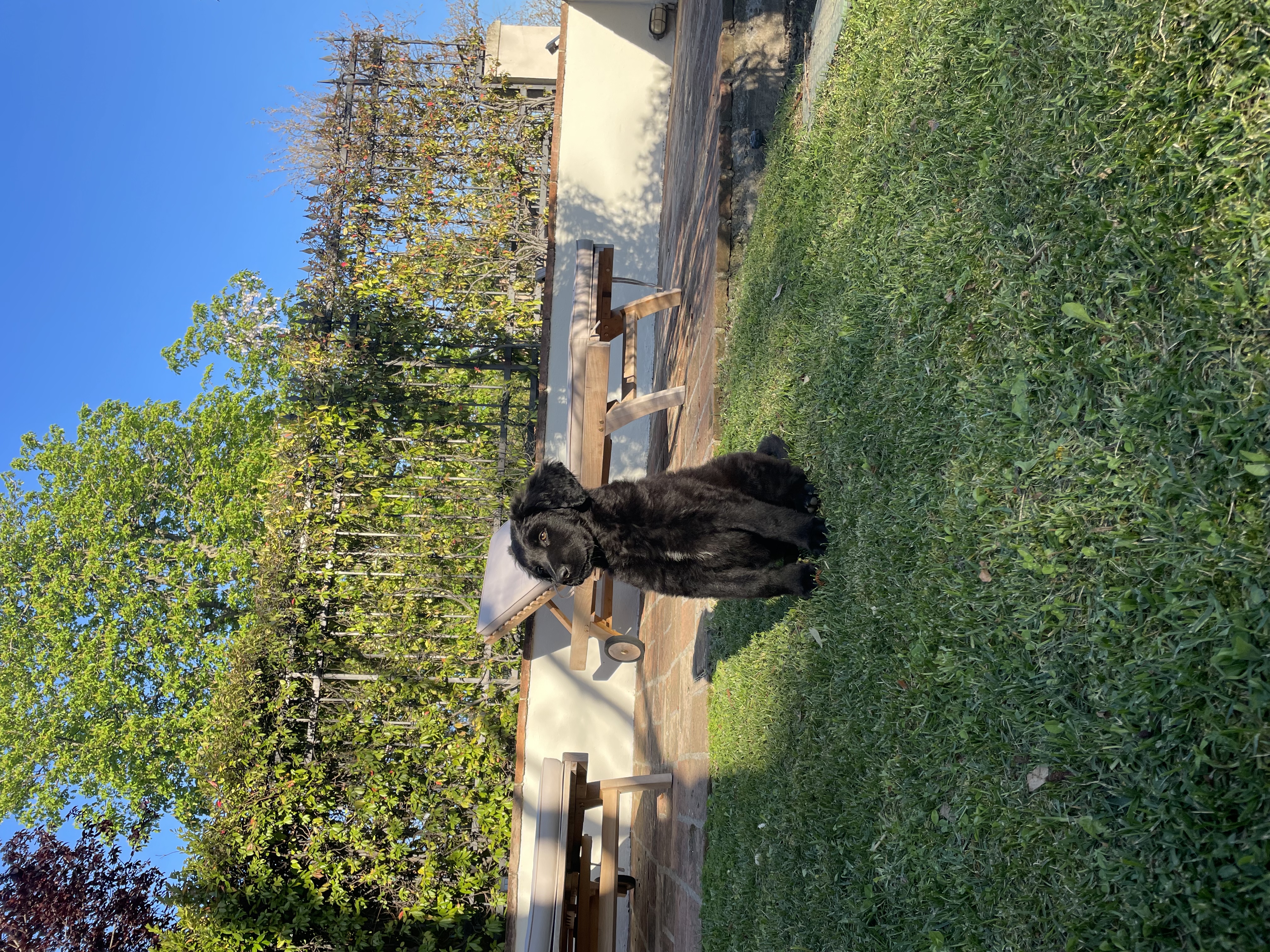 image-5