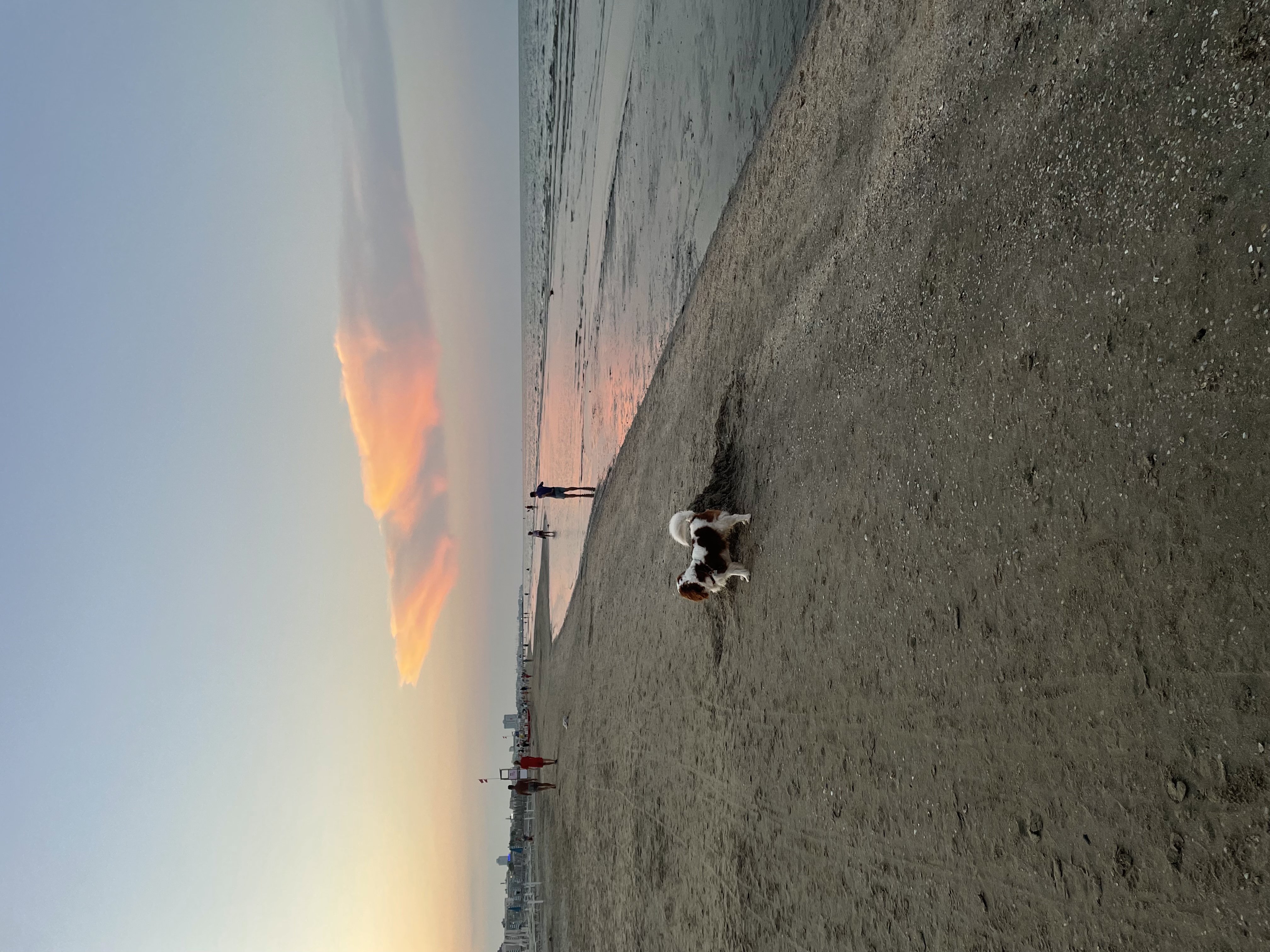 image-13