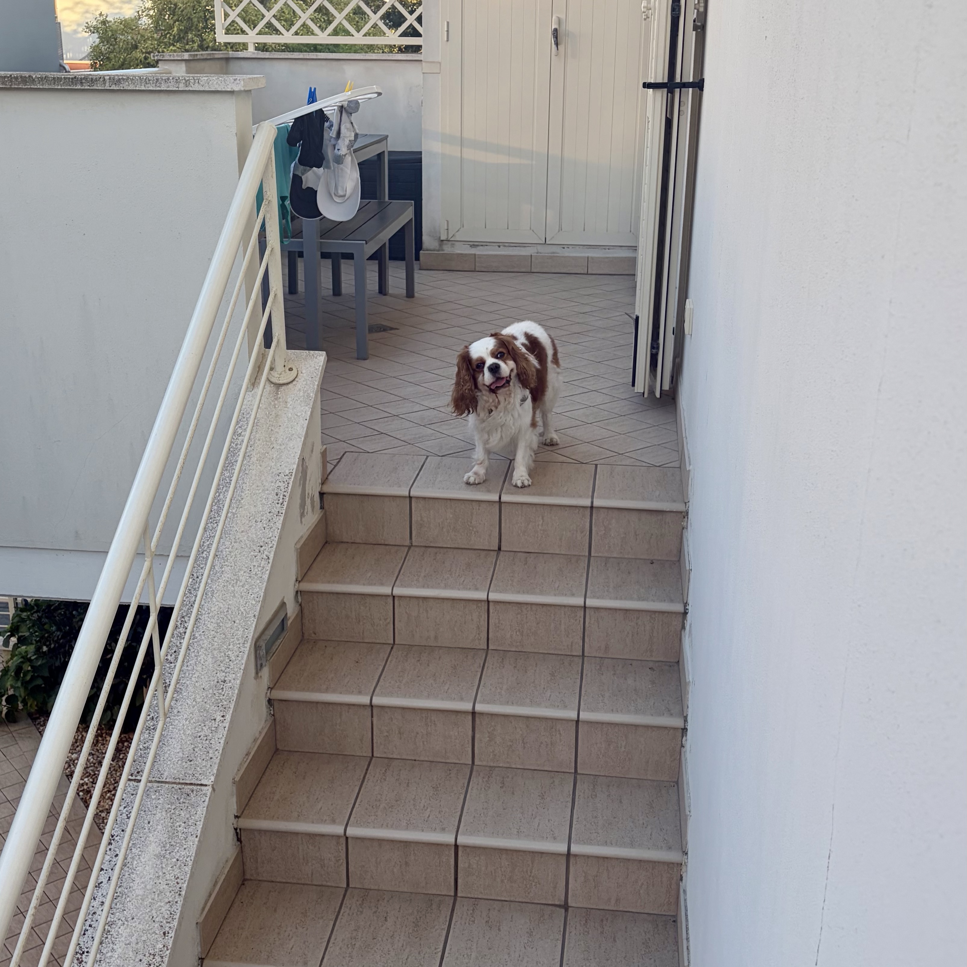 Charlie