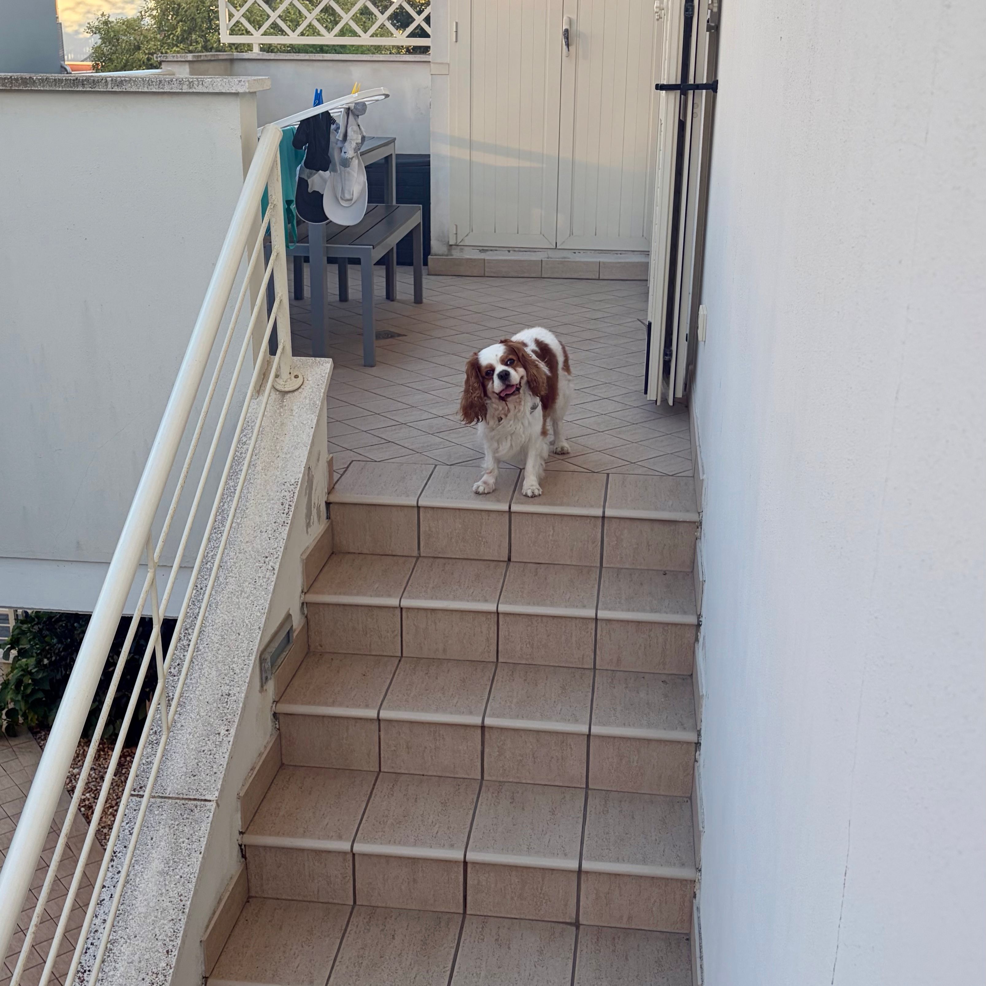 Charlie